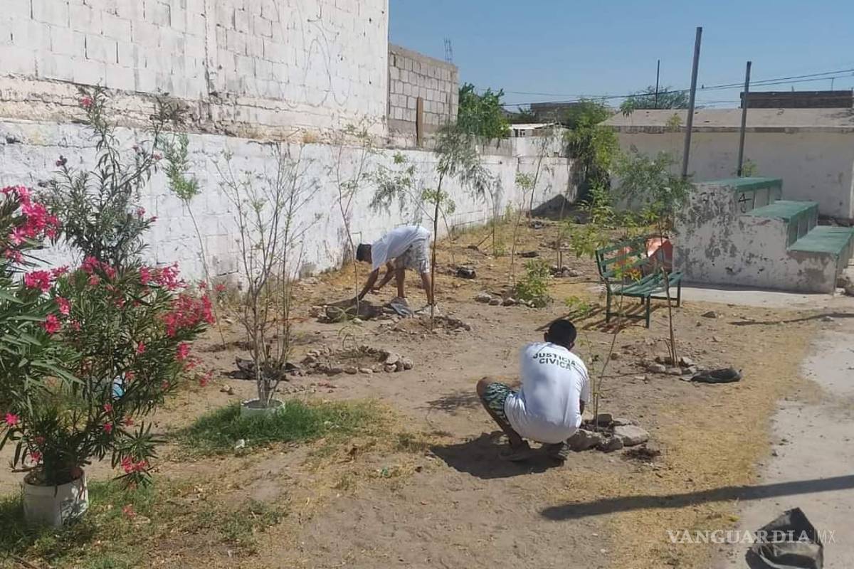 Tribunal de Justicia en Torreón ha generado 173 acciones de servicio comunitario