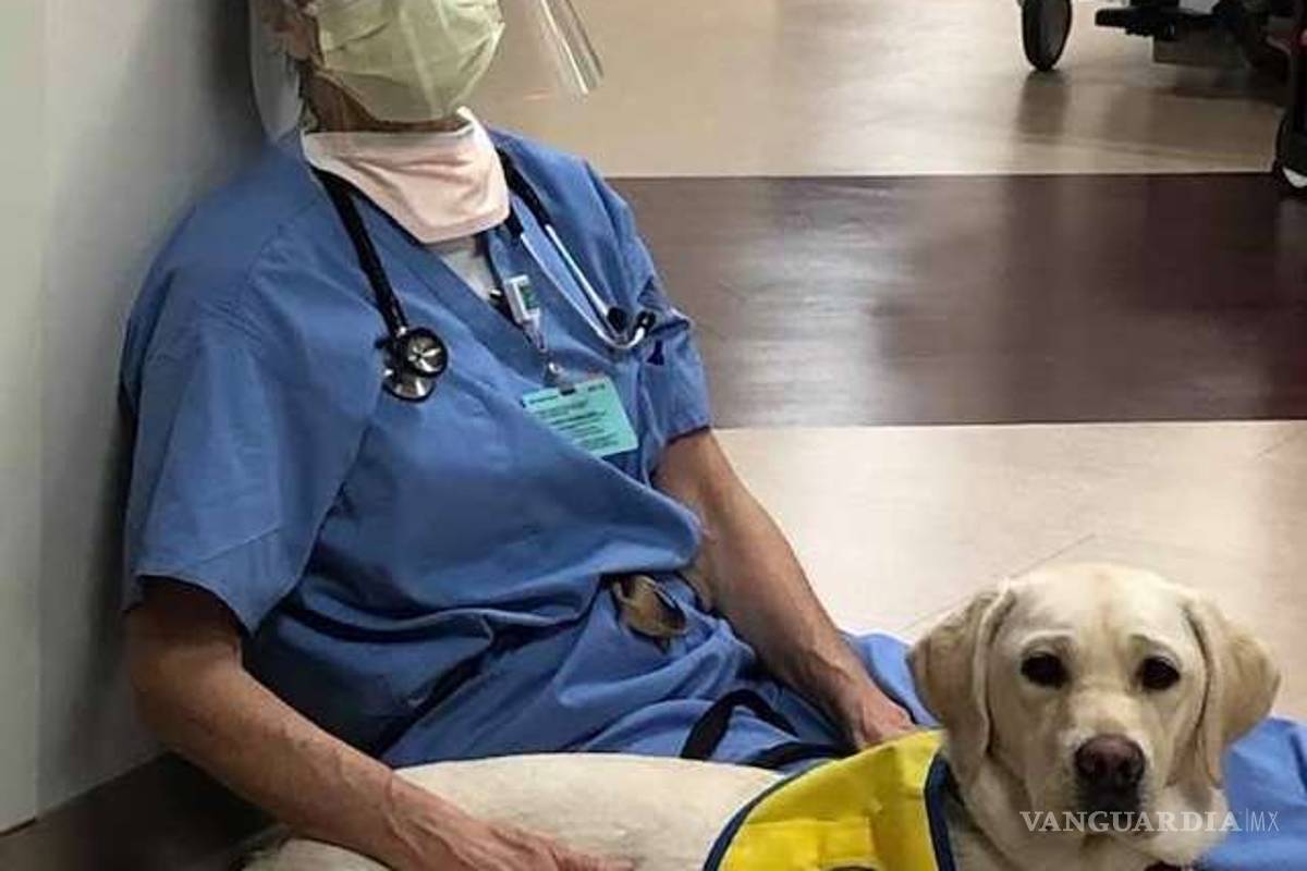 Coronavirus: Perrito reanima a personal de hospital por COVID-19 en EU