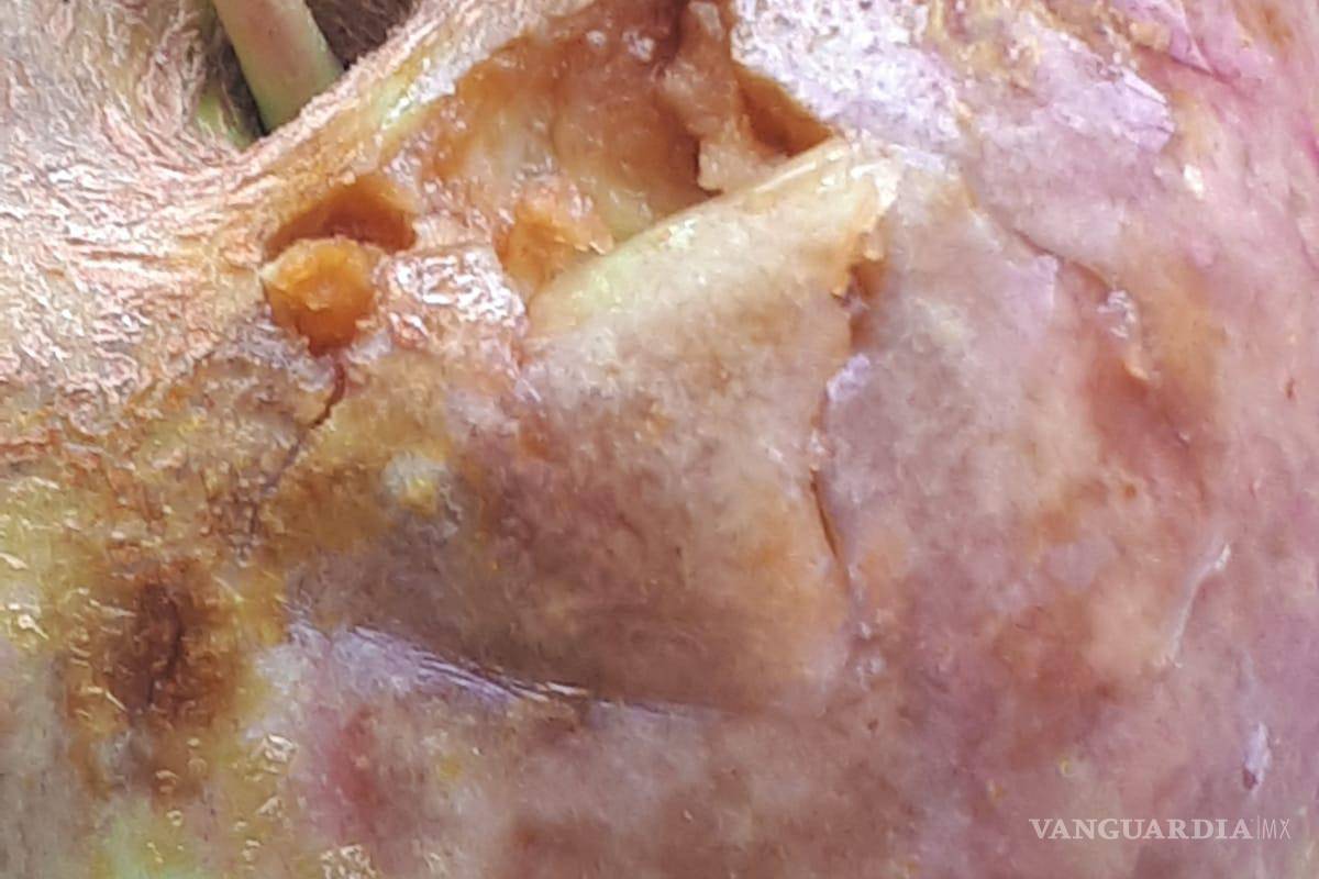 Afecta granizo 70 hectáreas de manzanos en Arteaga, pero comunidad agradece la lluvia