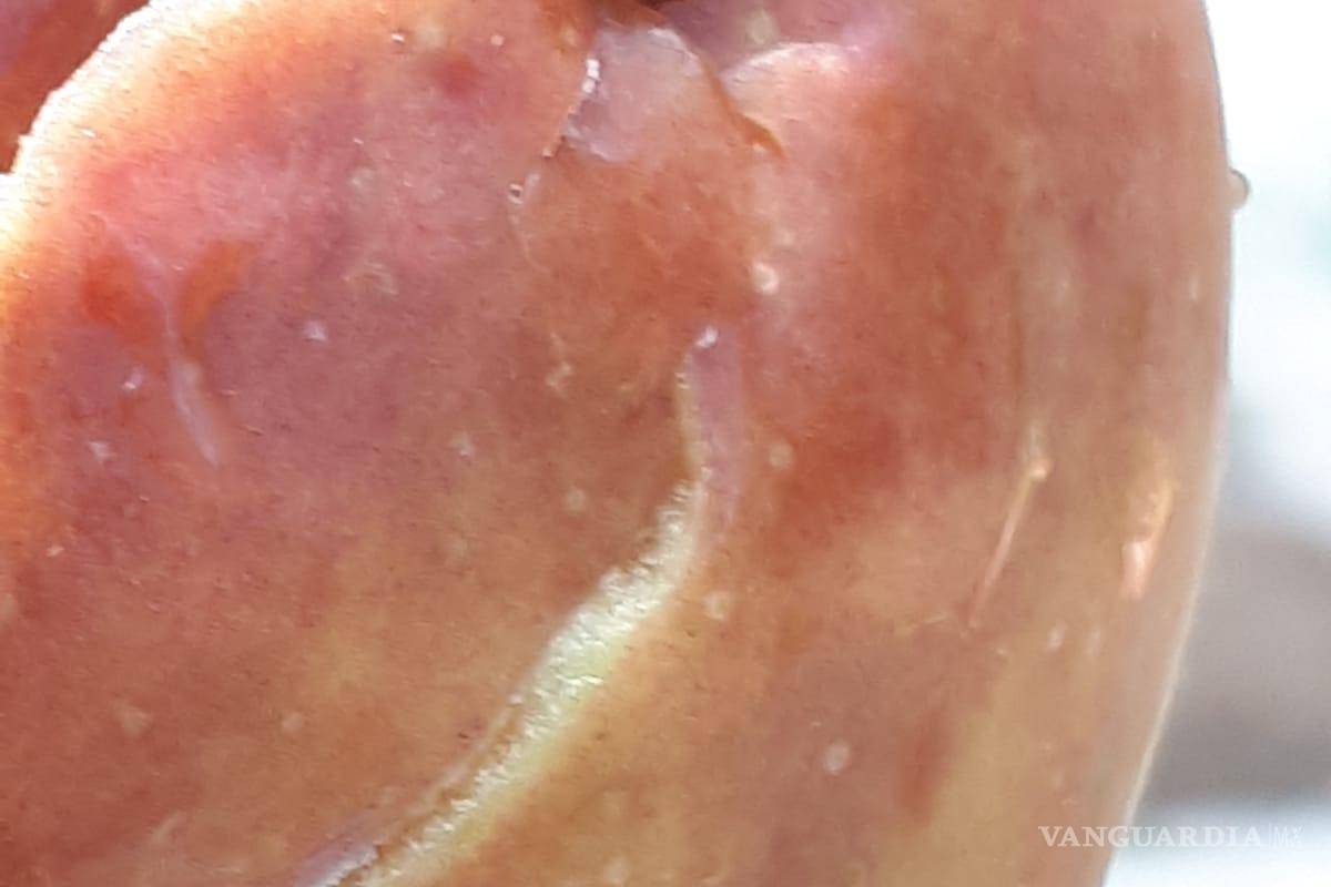 Afecta granizo 70 hectáreas de manzanos en Arteaga, pero comunidad agradece la lluvia