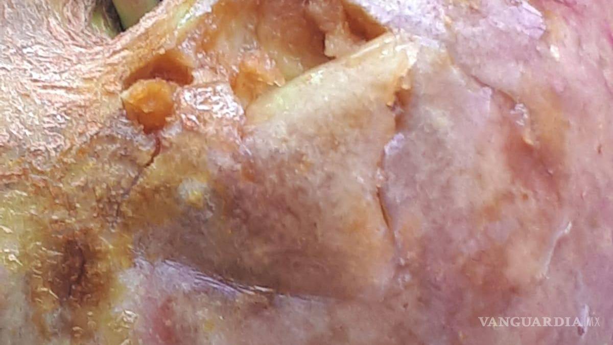 Afecta granizo 70 hectáreas de manzanos en Arteaga, pero comunidad agradece la lluvia