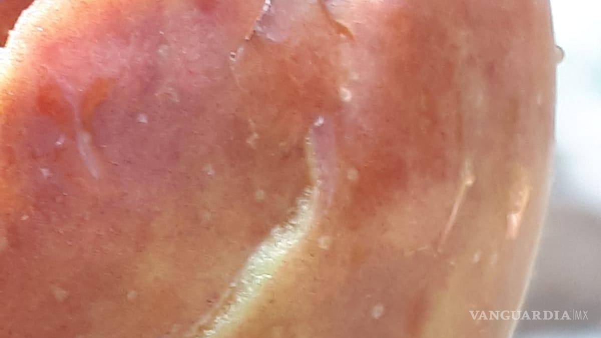 Afecta granizo 70 hectáreas de manzanos en Arteaga, pero comunidad agradece la lluvia