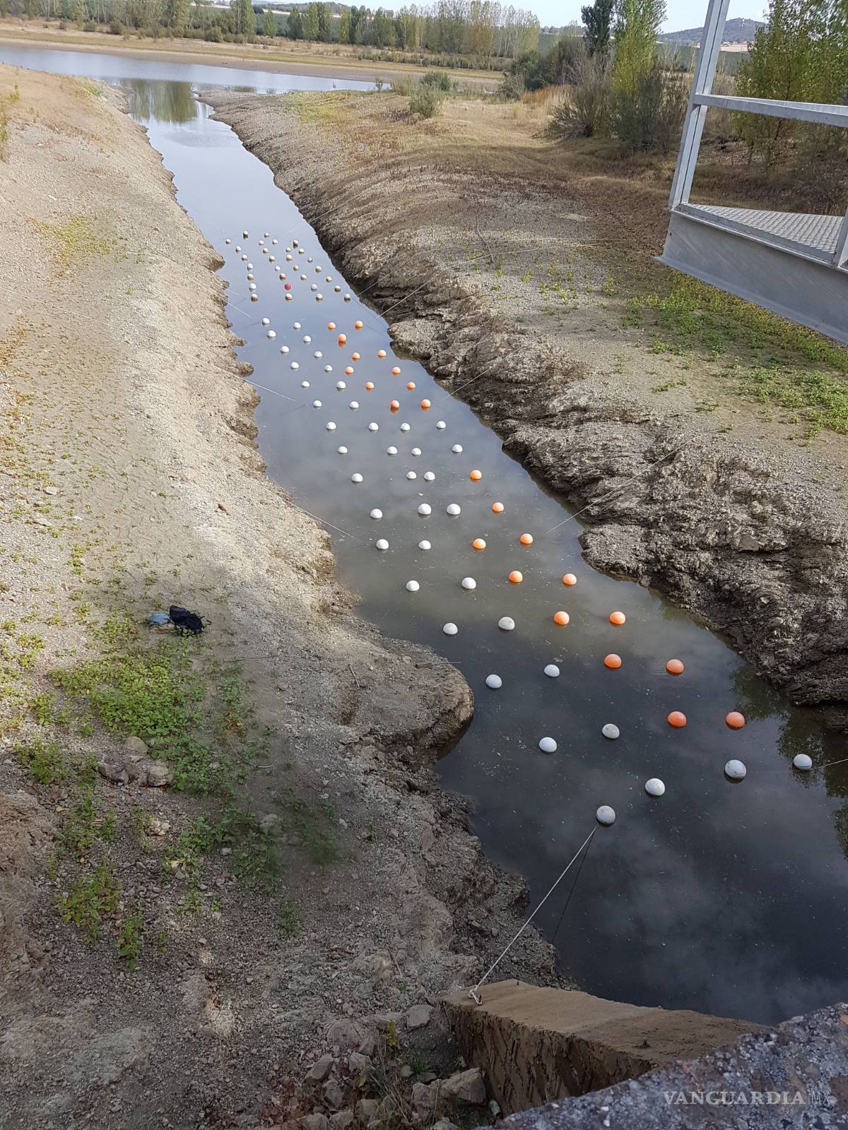 $!Agua más "fina" y de mayor rendimiento gracias a la nanotecnología