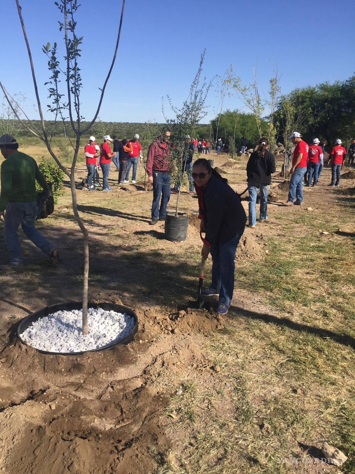 $!UAdeC apoyará al Bosque Urbano de Monclova