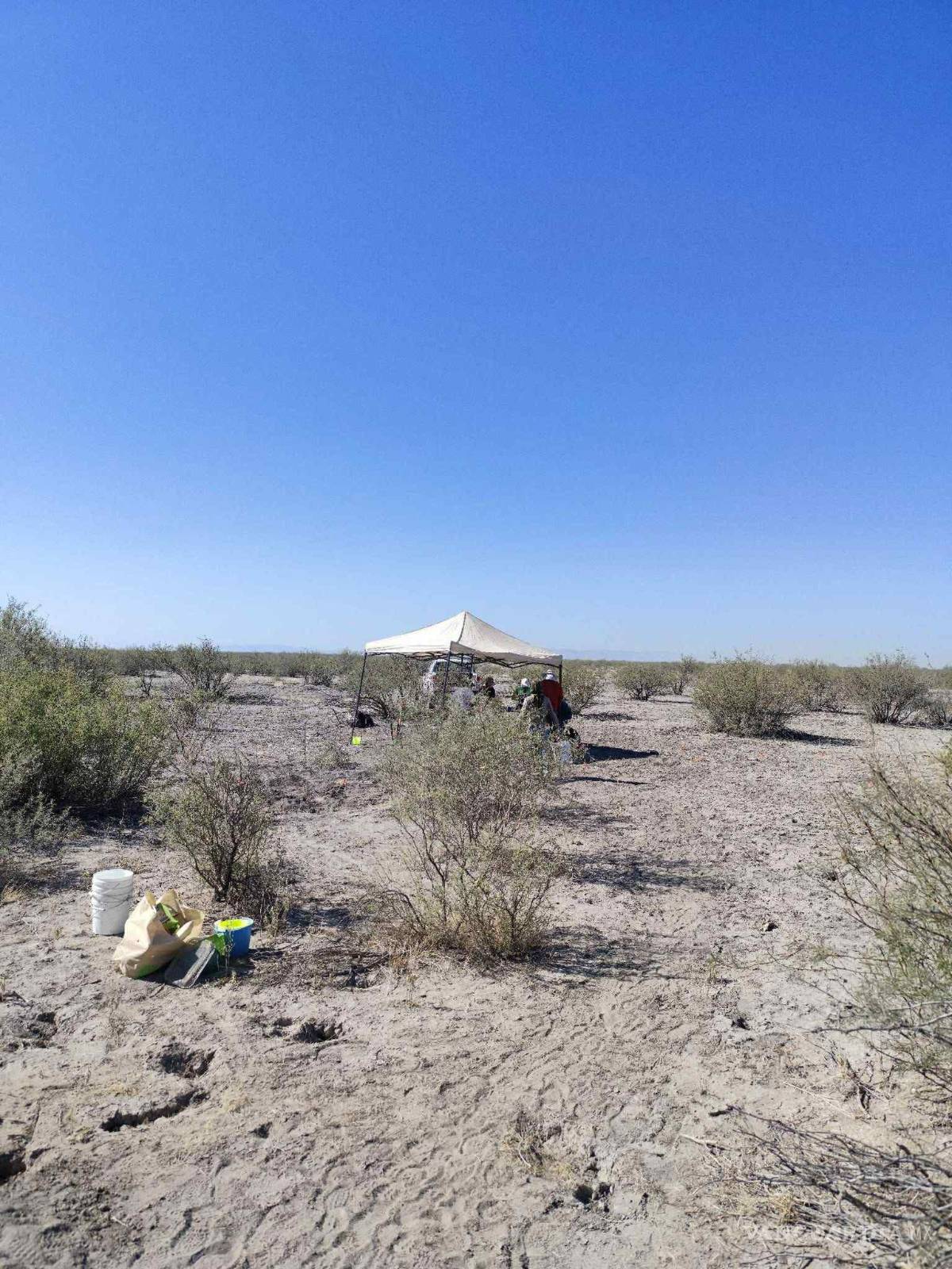 $!Las exploraciones ocurrieron en el ejido Patrocinio.