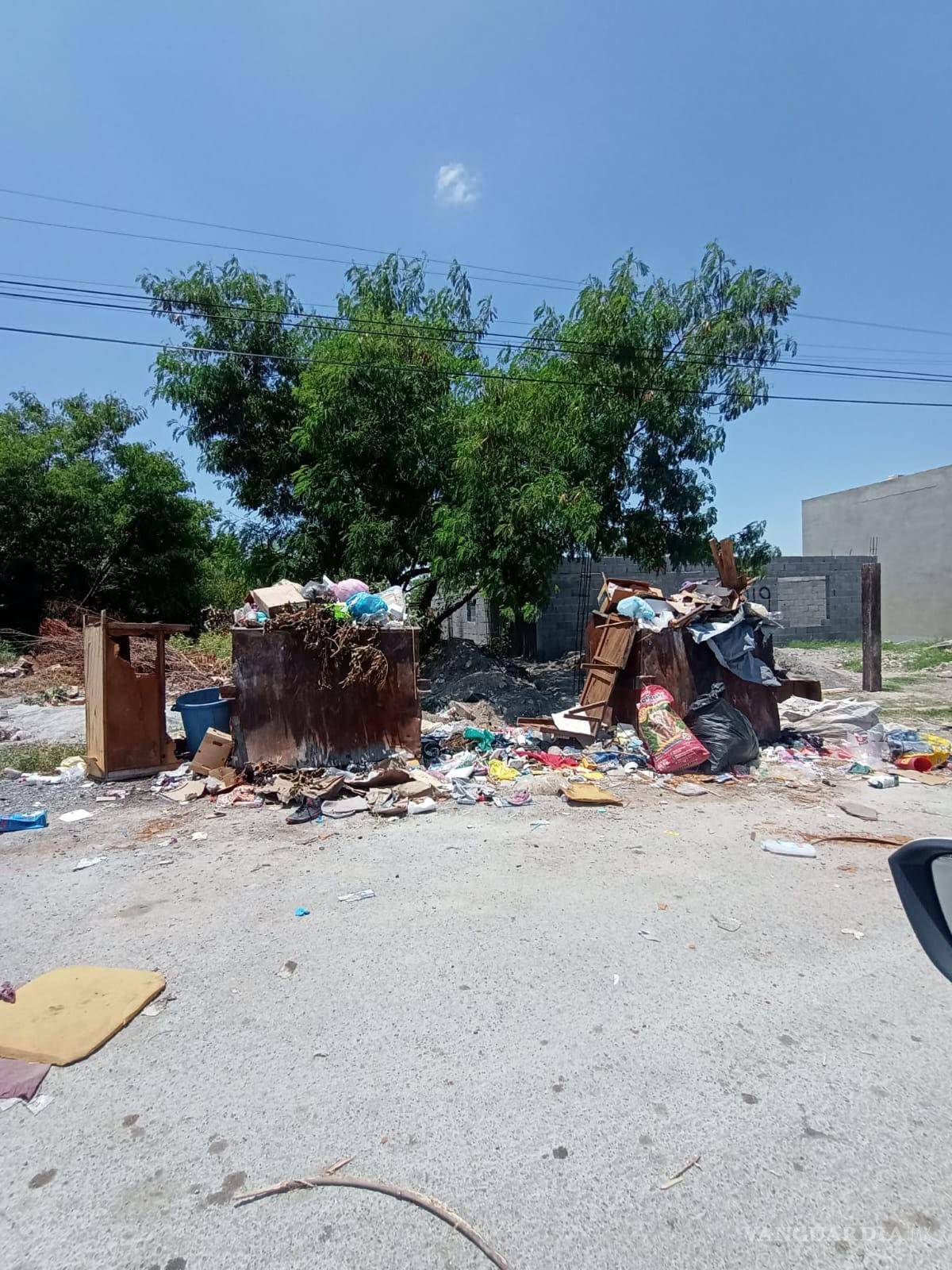$!Vecinos señalan que en algunos sectores la basura permanece durante semanas sin ser retirada.
