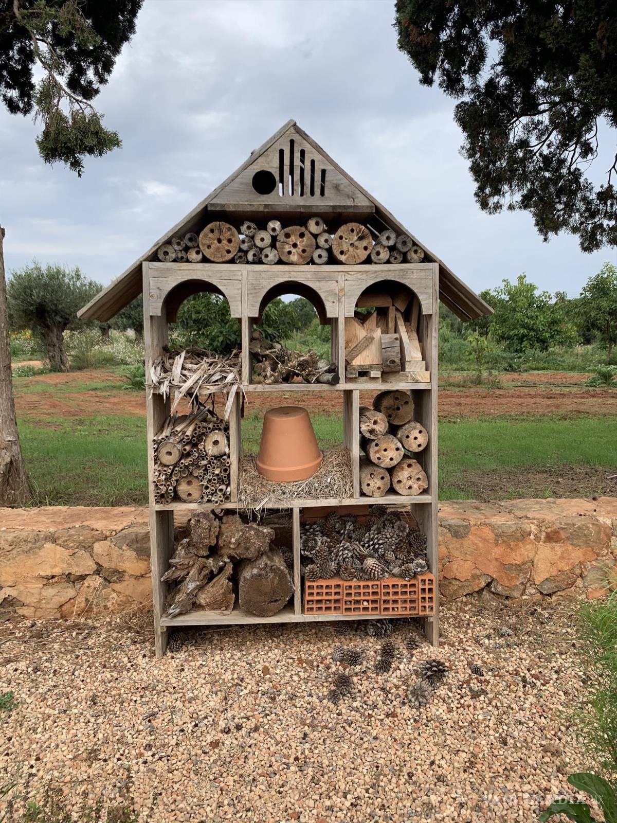 $!Huerta con tierra preparada con agricultura biodinámica. EFE/David Méndez León