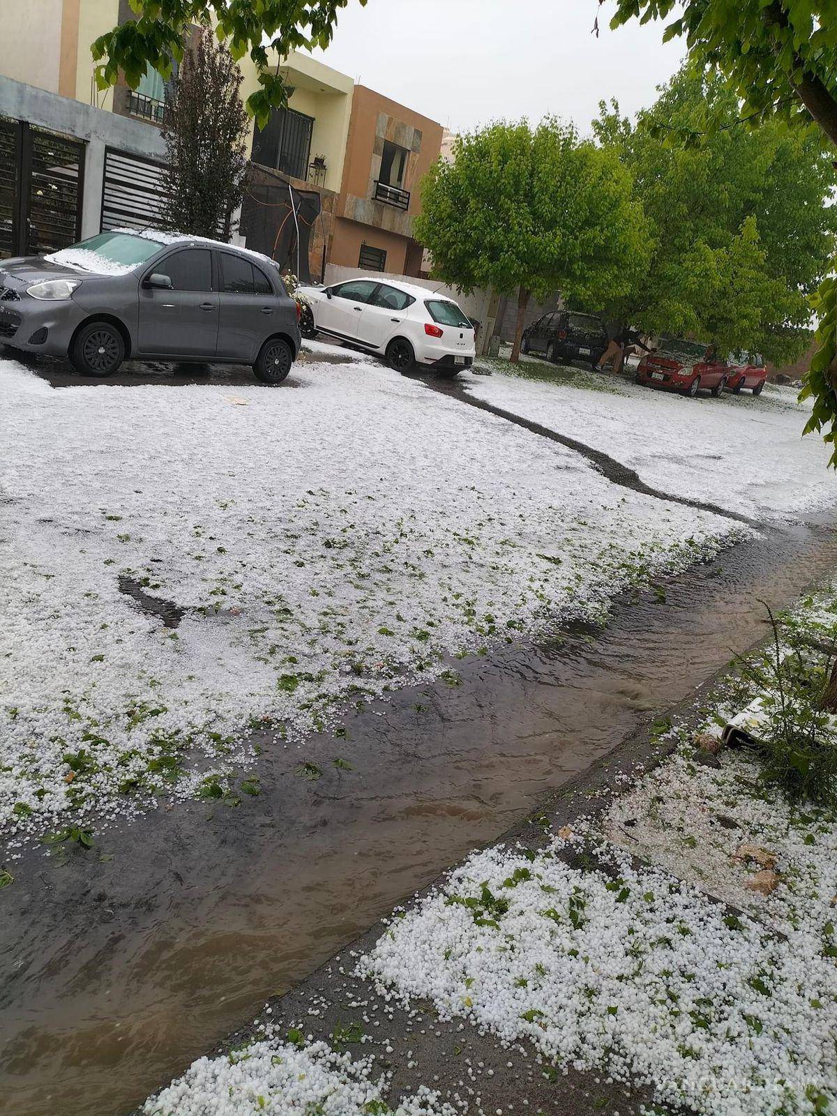 $!Para las próximas horas, el director de Protección Civil recomendó a la ciudadanía que tome sus precauciones, pues se esperan temperaturas por debajo de los 10 grados.