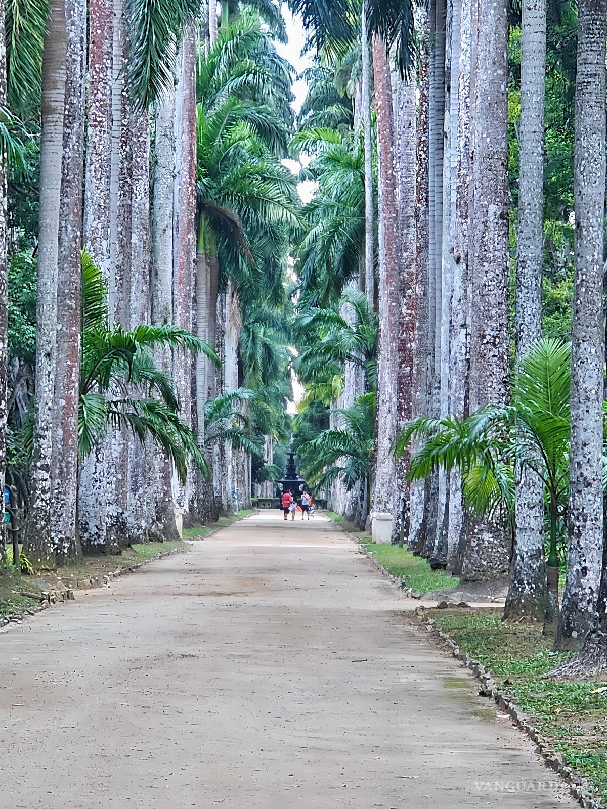 $!FOTO: MIGUELCRESPO