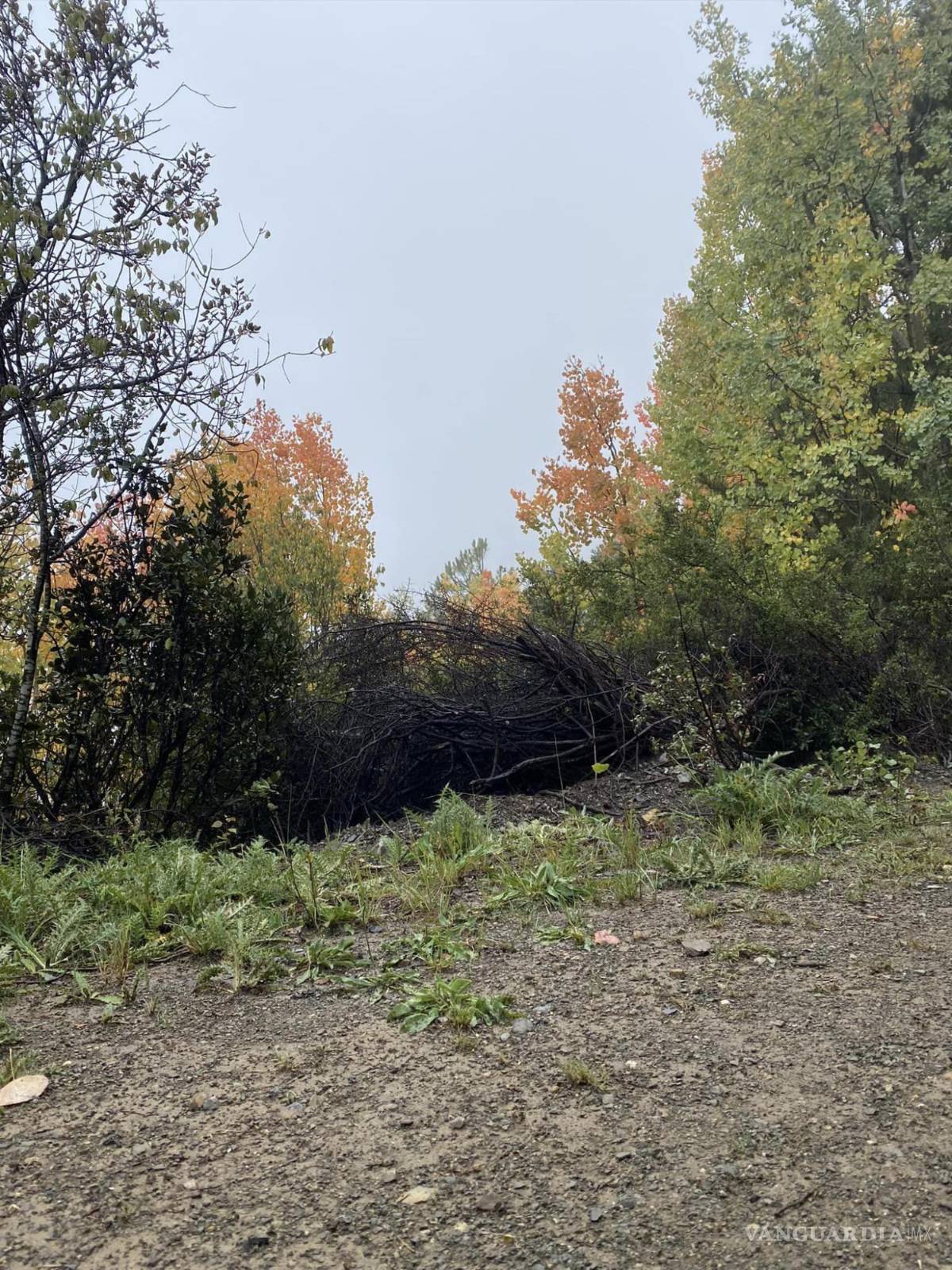 $!Imagen captada por la senderista originaria de Nuevo León.