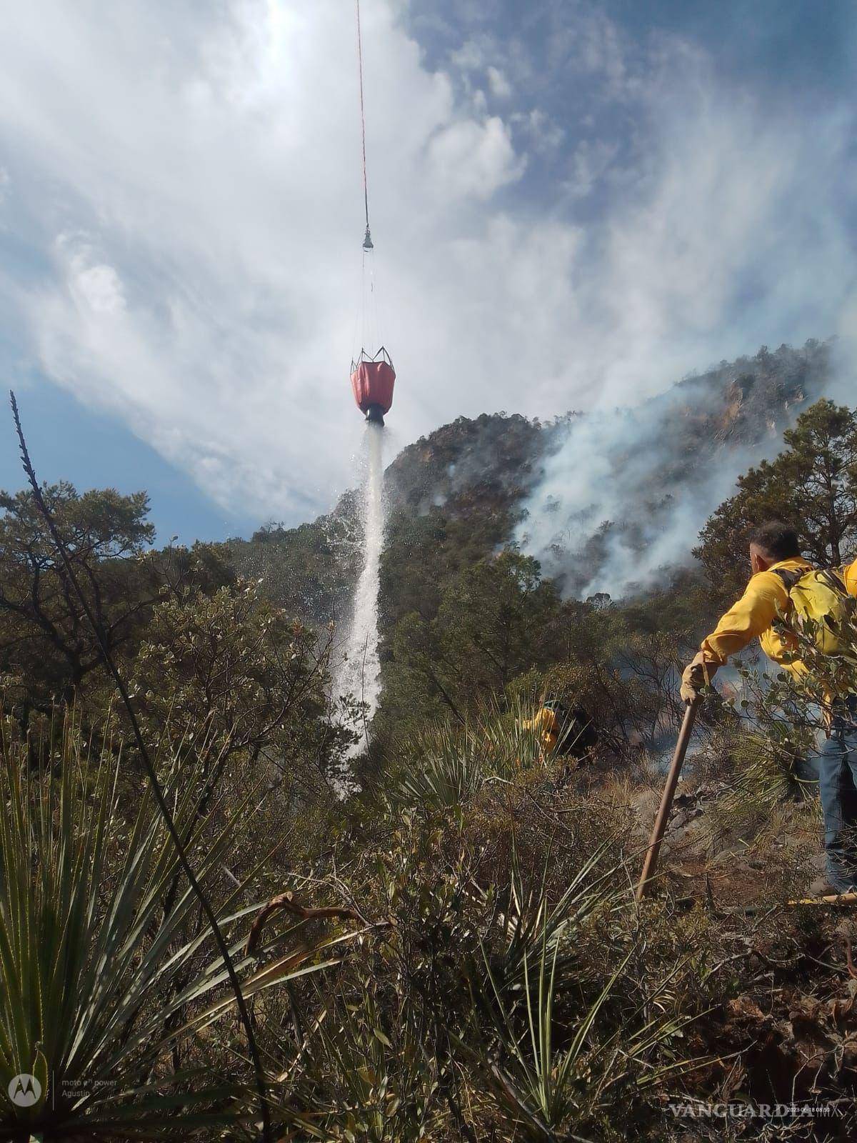 $!Los trabajos de combate al incendio en San José de los Nuncio continuarán el día de mañana