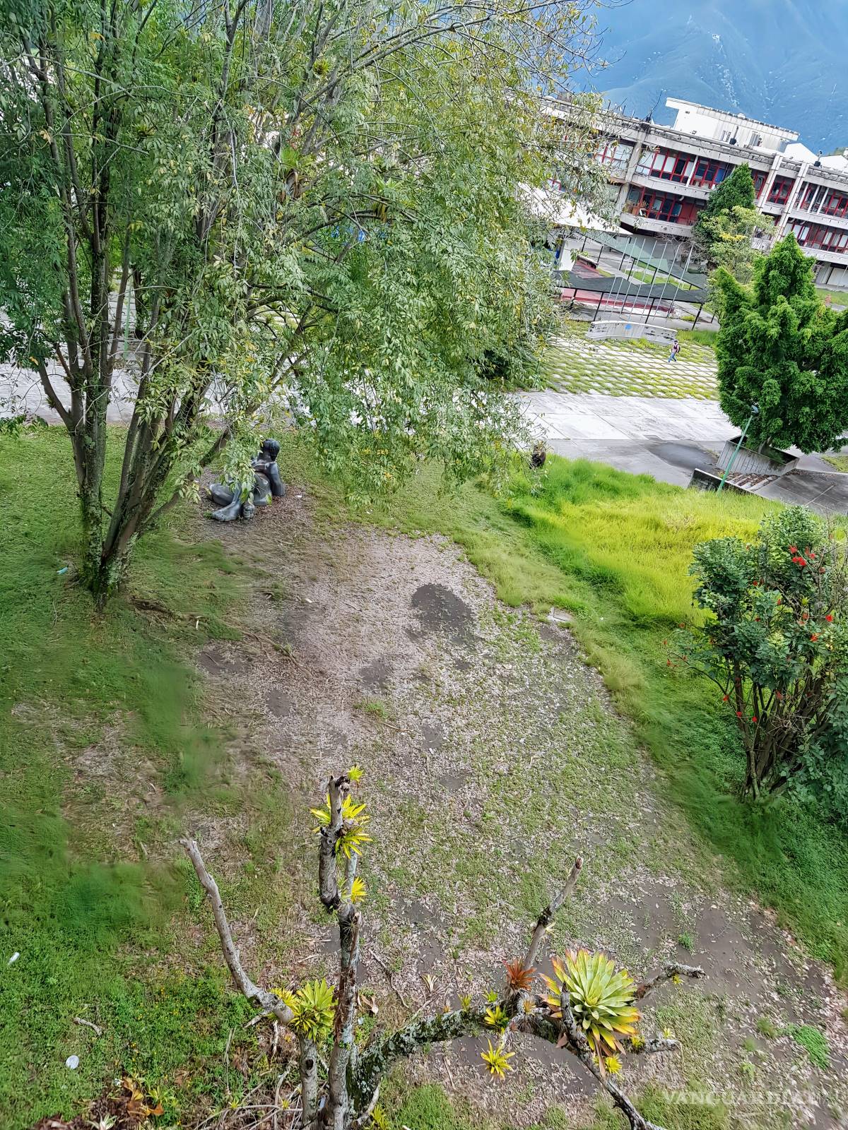 $!FOTO: MIGUEL CRESPO