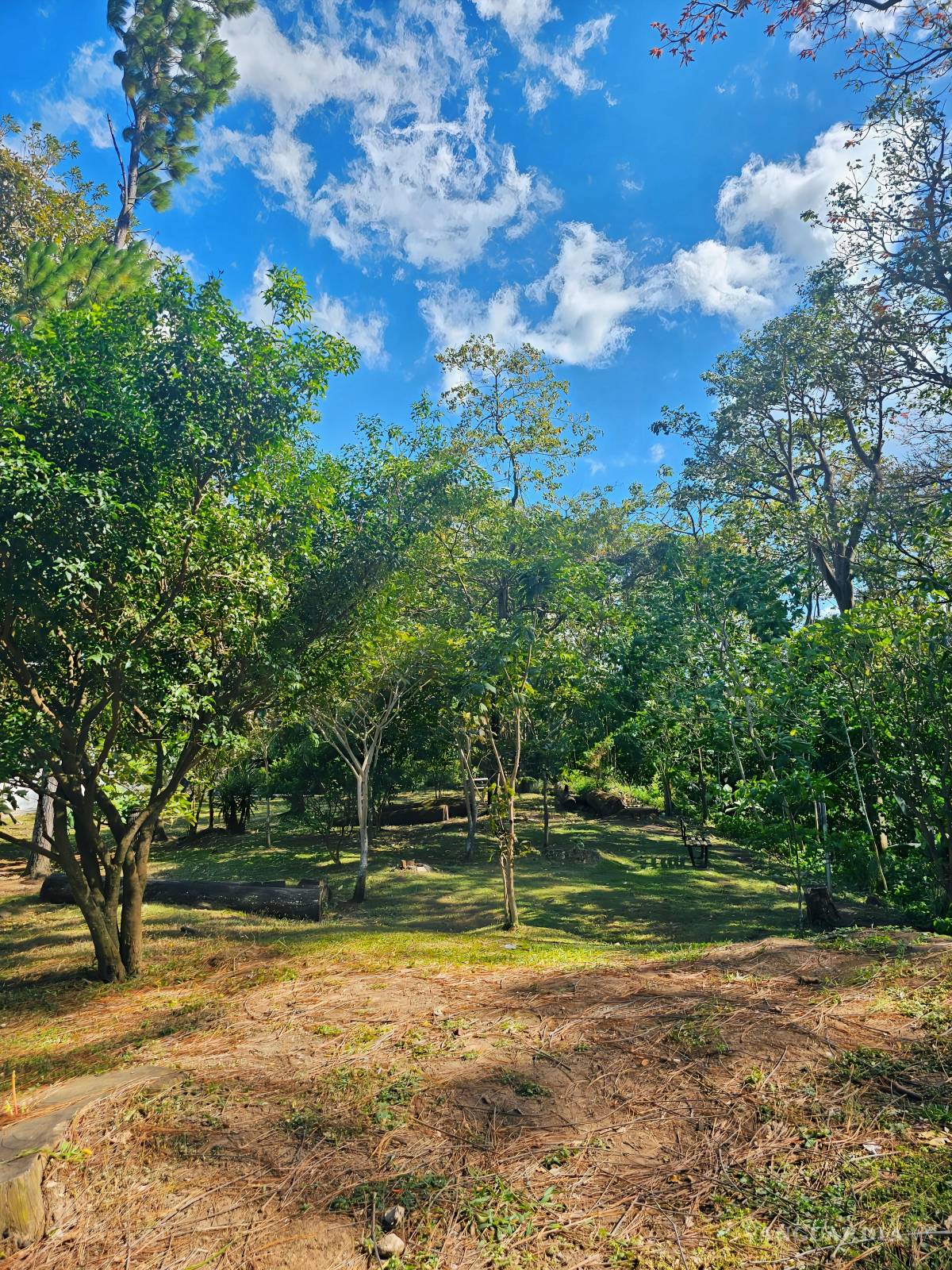 $!Parque Vázquez Dent (San José Costa Rica).