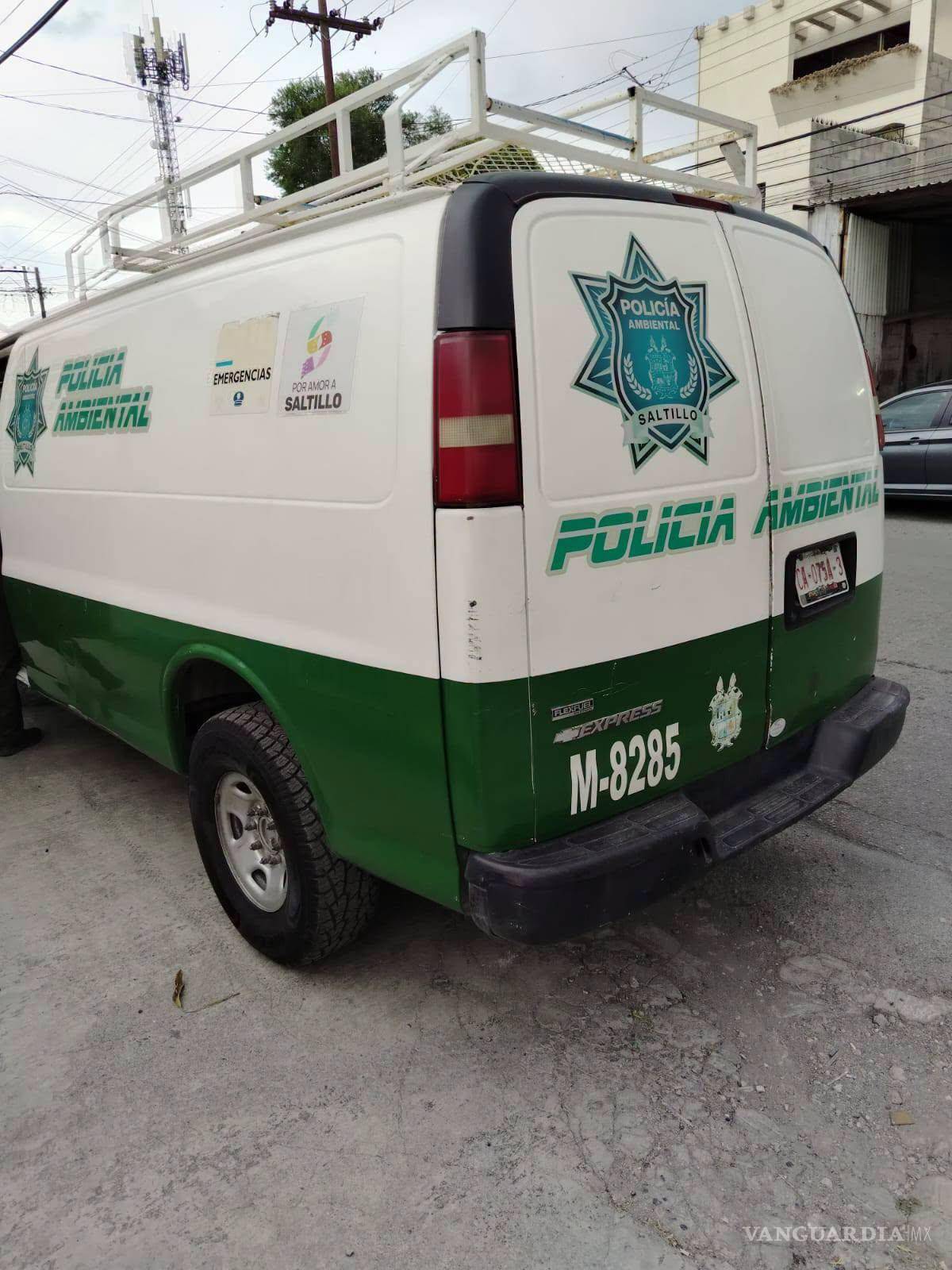 $!La organización pidió la intervención de la Policía Ambiental para trasladar al animal.