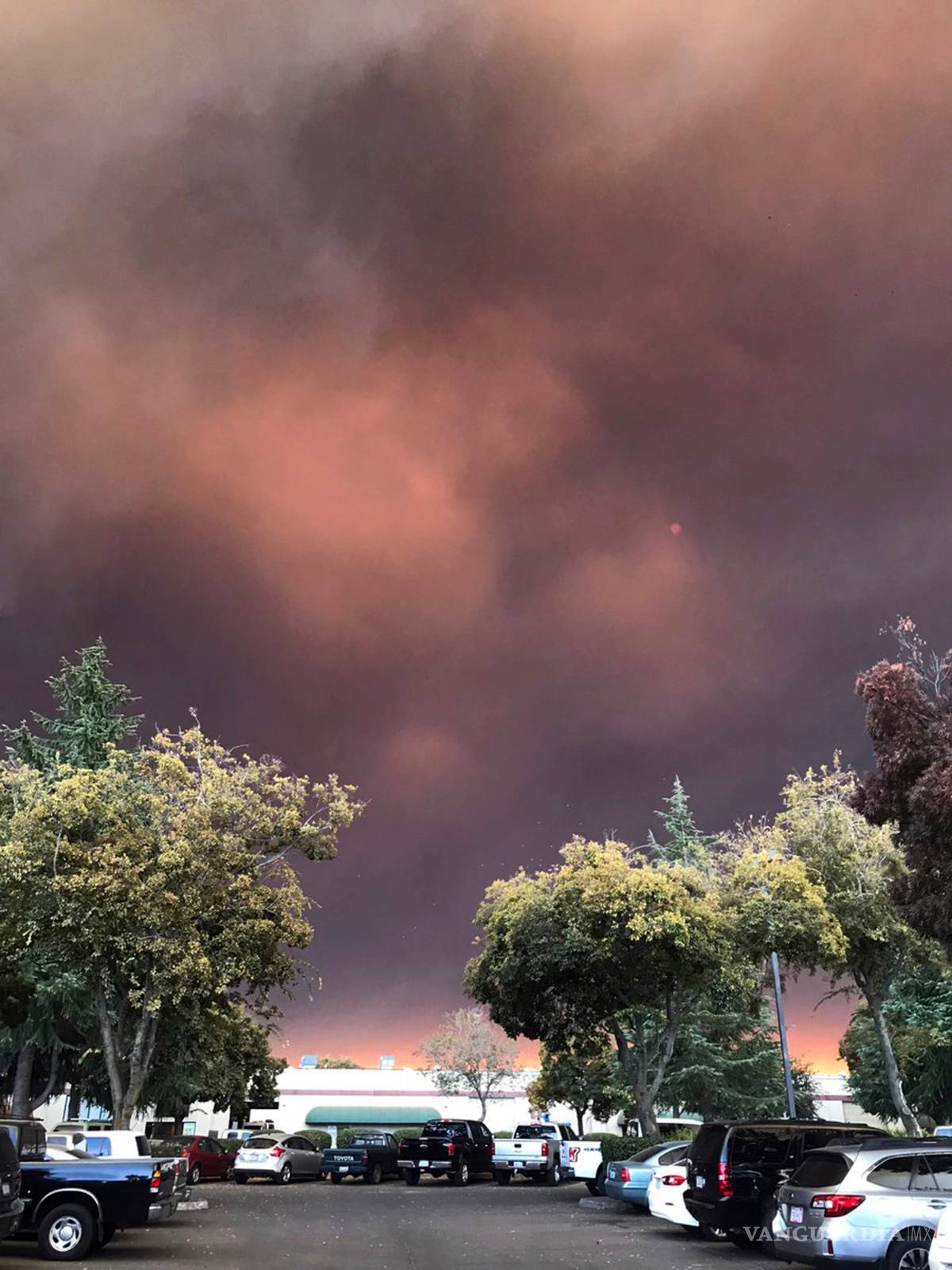 $!Camp Fire, el devastador incendio que está devorando a California (fotogalería)