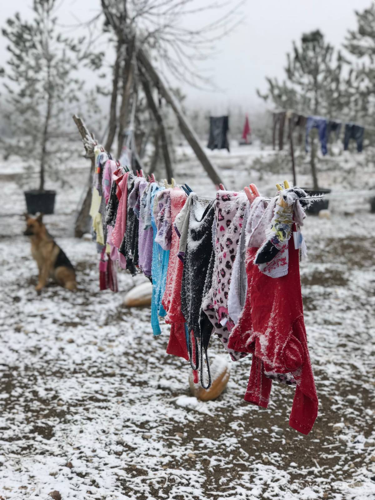 $!Ramos Arizpe se viste de blanco (fotogalería)