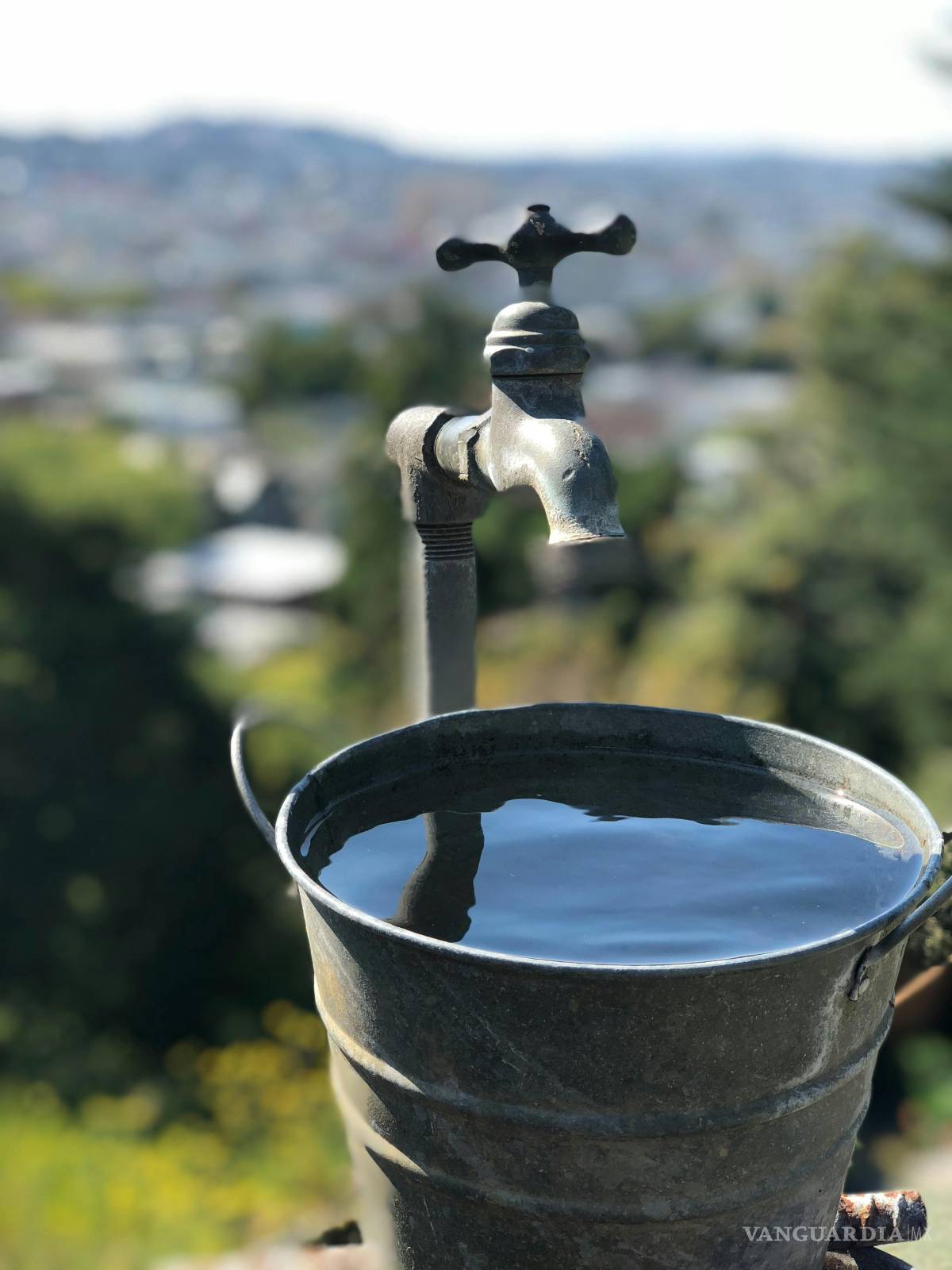 $!El almacenamiento de agua en recipientes sin tapar facilita los criaderos del mosquito transmisor del dengue, zika y chikungunya durante la temporada de lluvias.