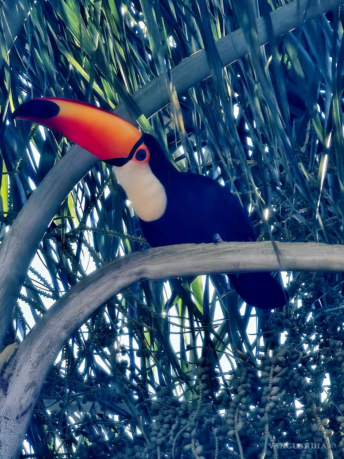 $!FOTO: MIGUEL CRESPO