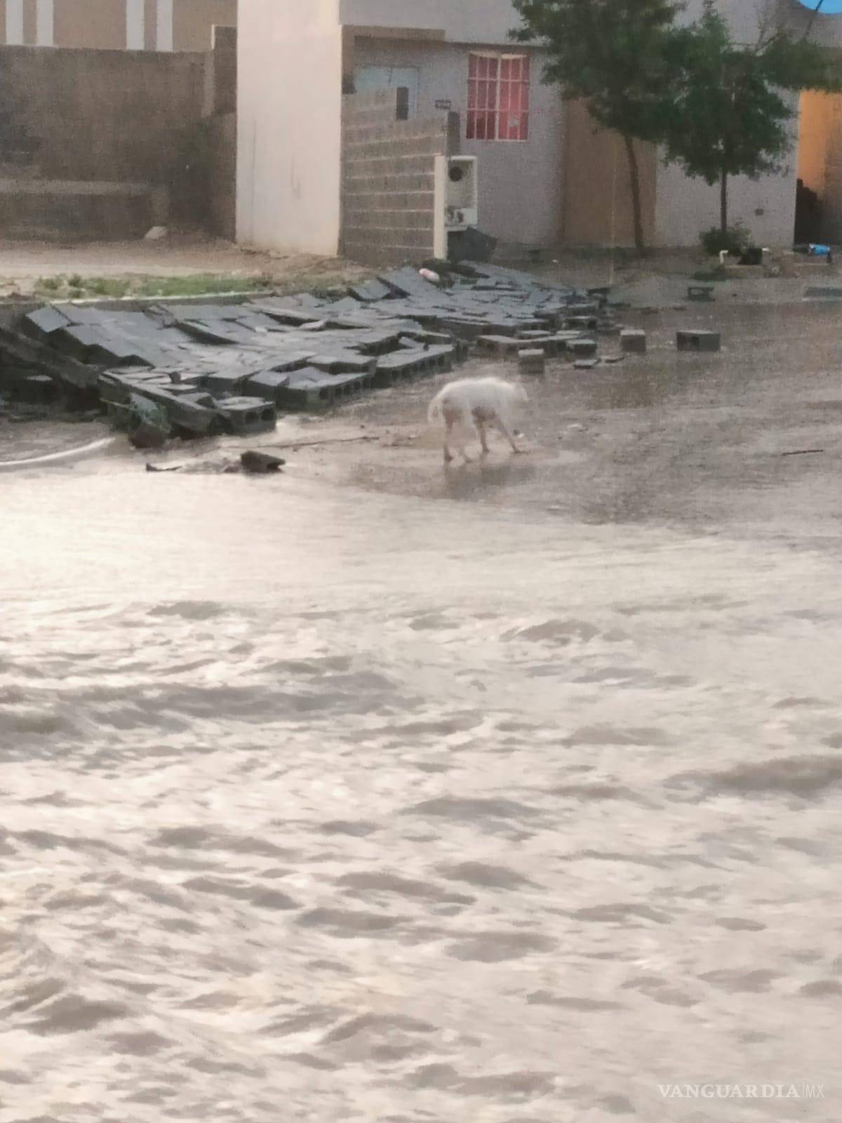 $!Acuña: deja tormenta con vórtices de tornado severos daños y sin luz a la ciudad