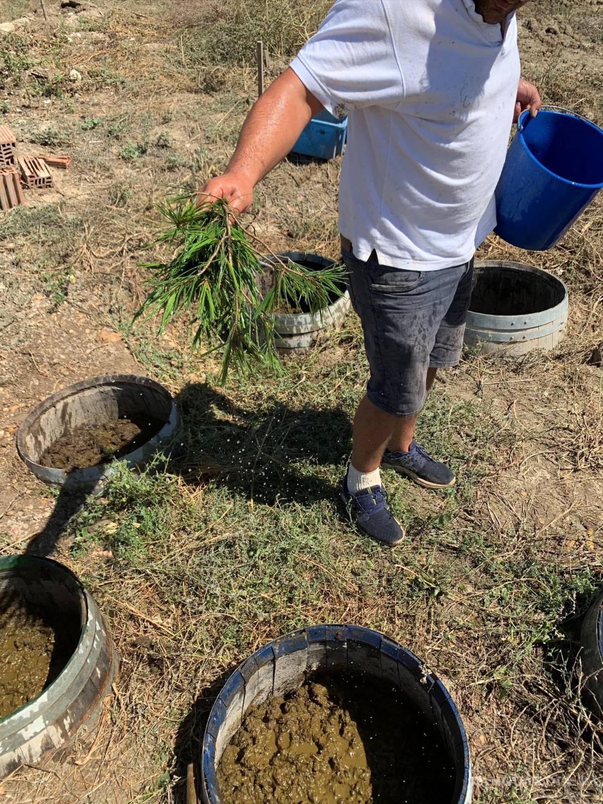 $!Un agricultor elabora compost agrodinámico para alimentar a su finca. EFE/David Méndez León