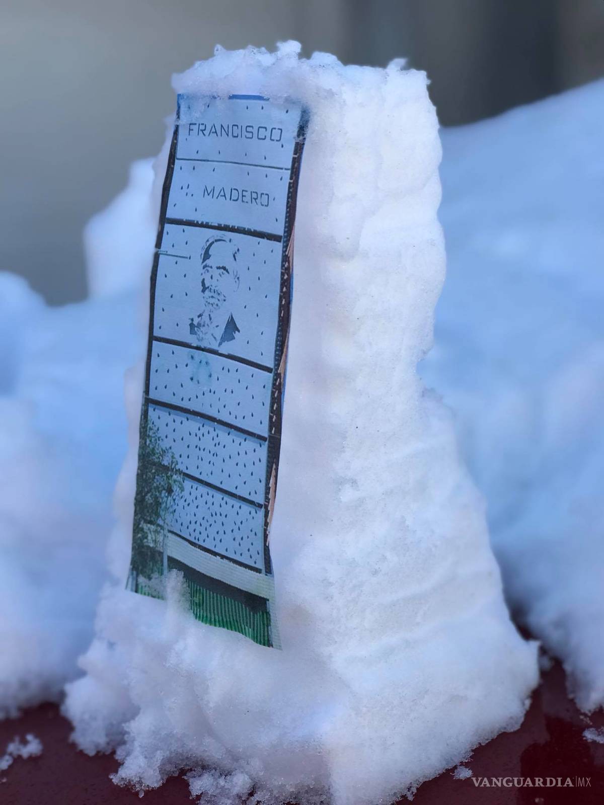 $!Los ‘osos polares’ llegan a Monclova