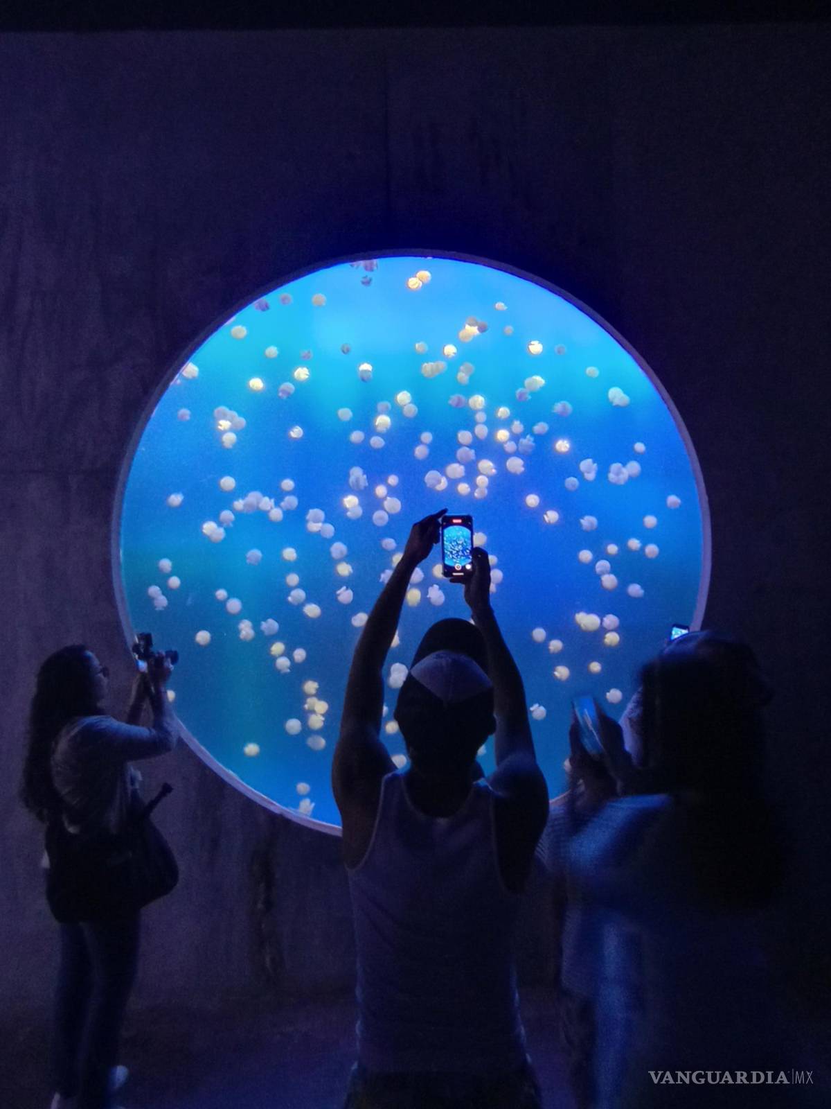 $!Visitantes observan el El Gran Acuario Mar de Cortés en la ciudad de Mazatlán, estado de Sinaloa (México).