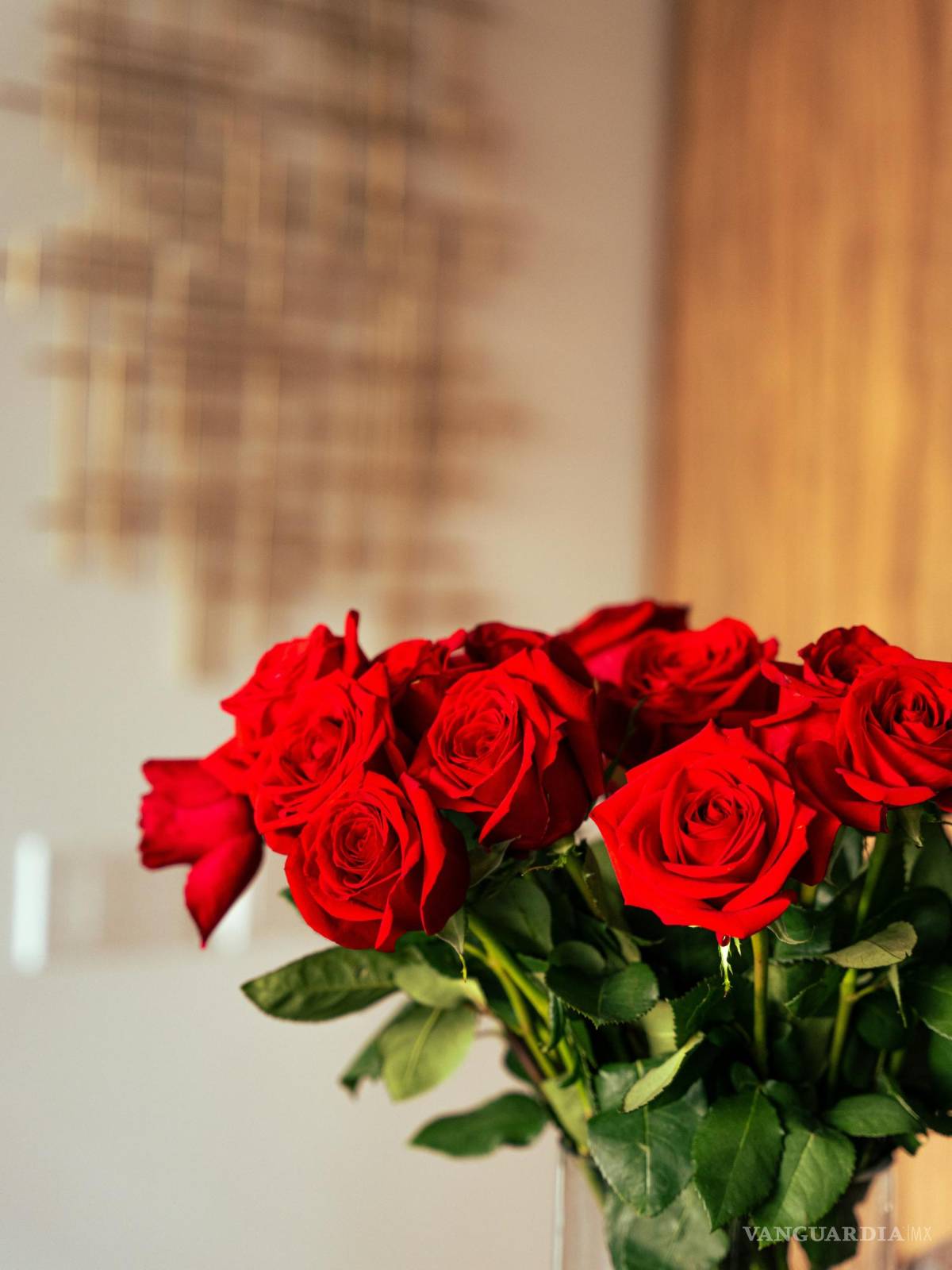 $!Se denomina rosa a la flor de los miembros de este género y rosal a la planta