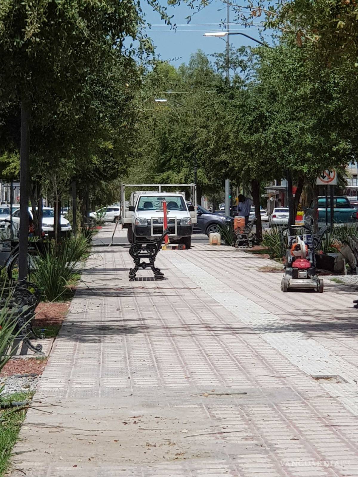 $!Continuarán trabajos de remodelación de la calzada Colón de Torreón