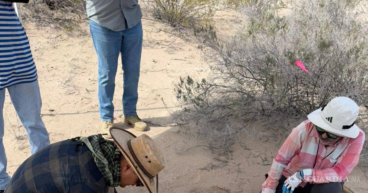 Al menos 725 kilogramos de restos óseos humanos han sido extraídos de la tierra en Coahuila: Grupo VIDA