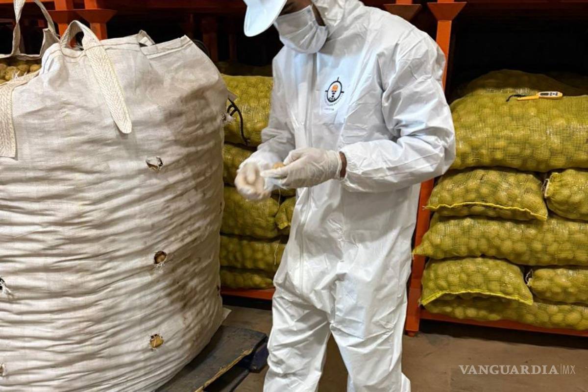 Denuncian que México importa papas de ‘desecho’ provenientes de EU sin ninguna restricción por parte de la Federación