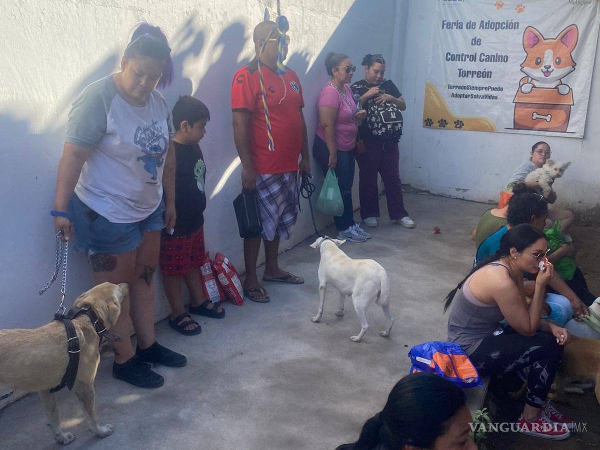 $!Personal veterinario atendió a 51 animales durante la jornada conmemorativa del Día Mundial de los Animales.