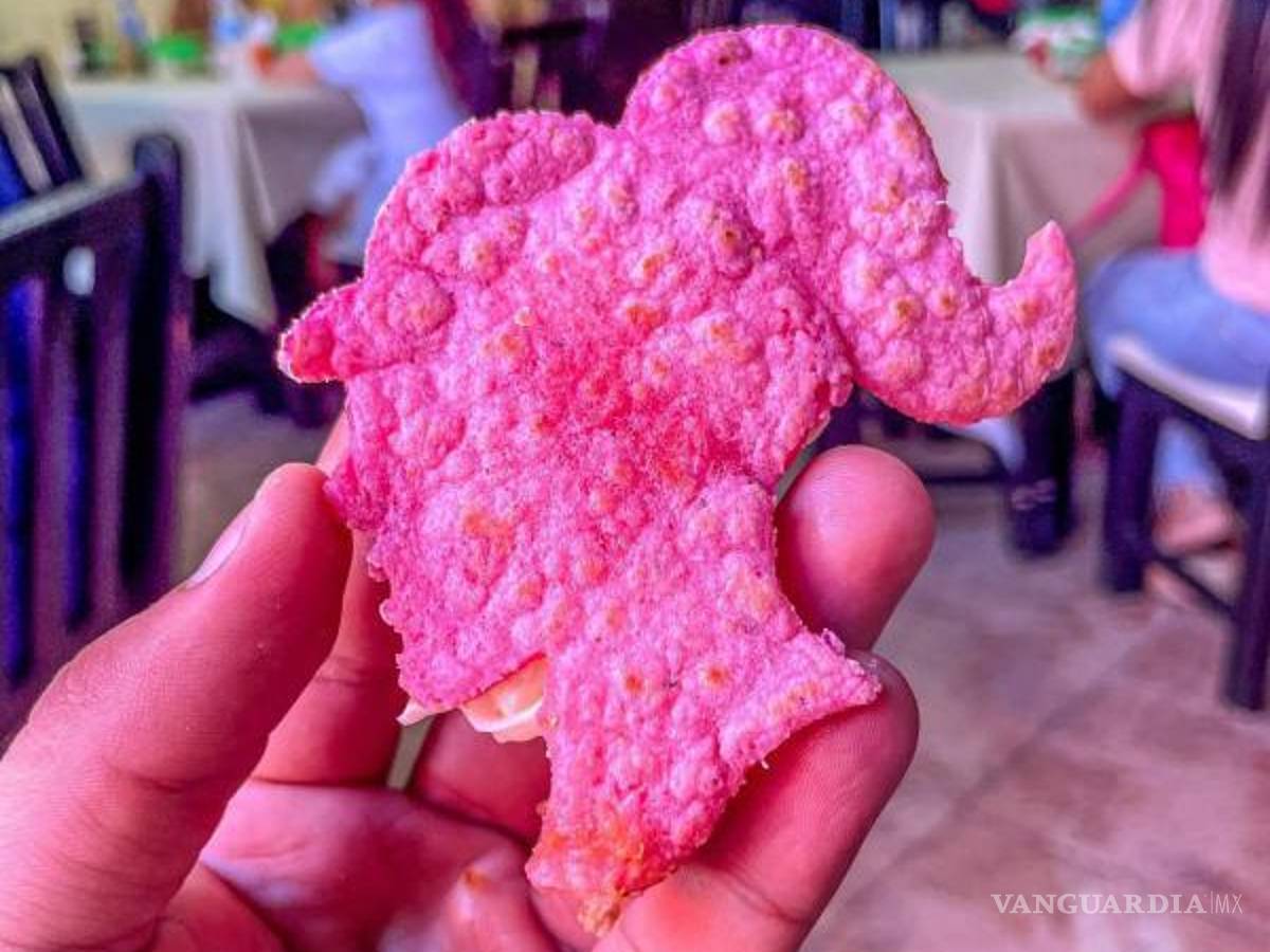 $!También hay gorditas en el mismo tono rosa y con el perfil de la Barbie por lo que usuarios de redes afirmaron que esto ya se salió de control.