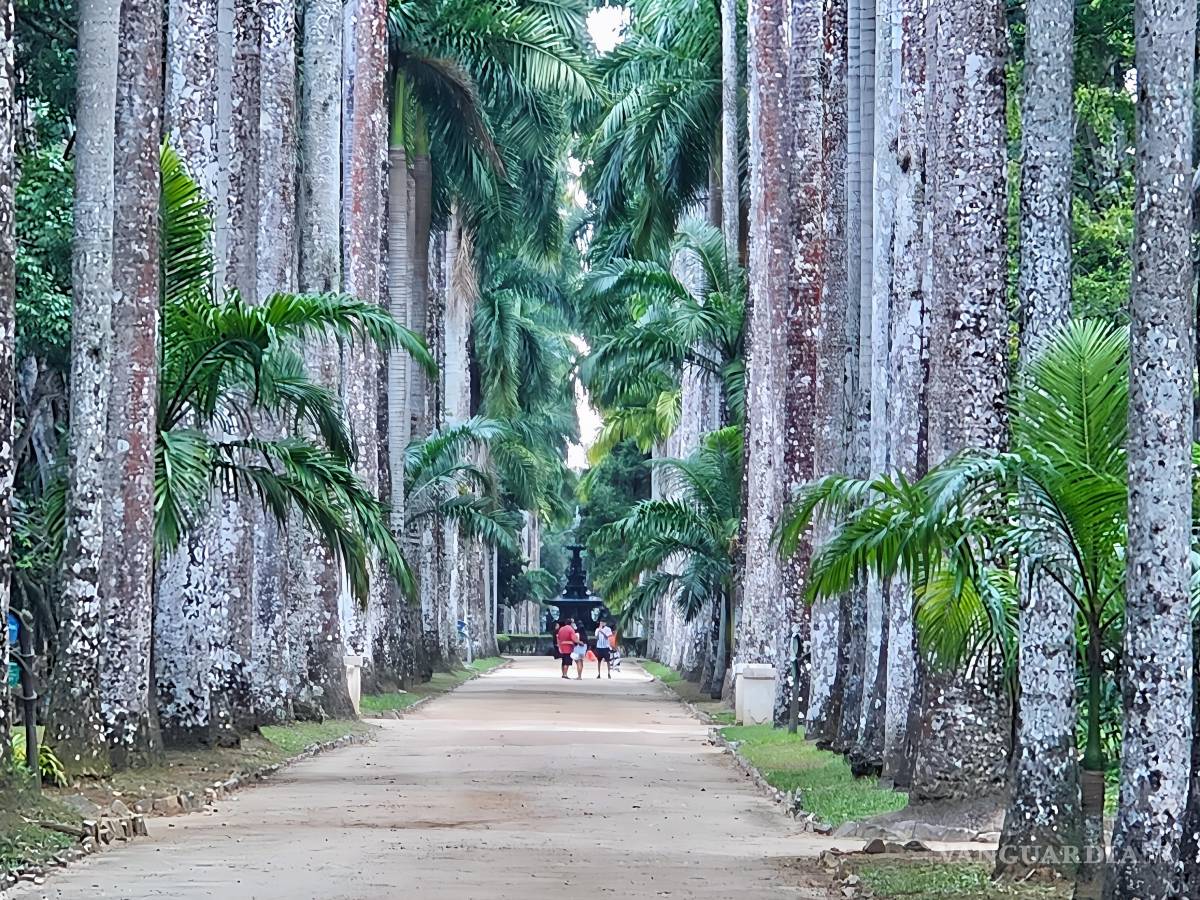 $!FOTO: MIGUELCRESPO