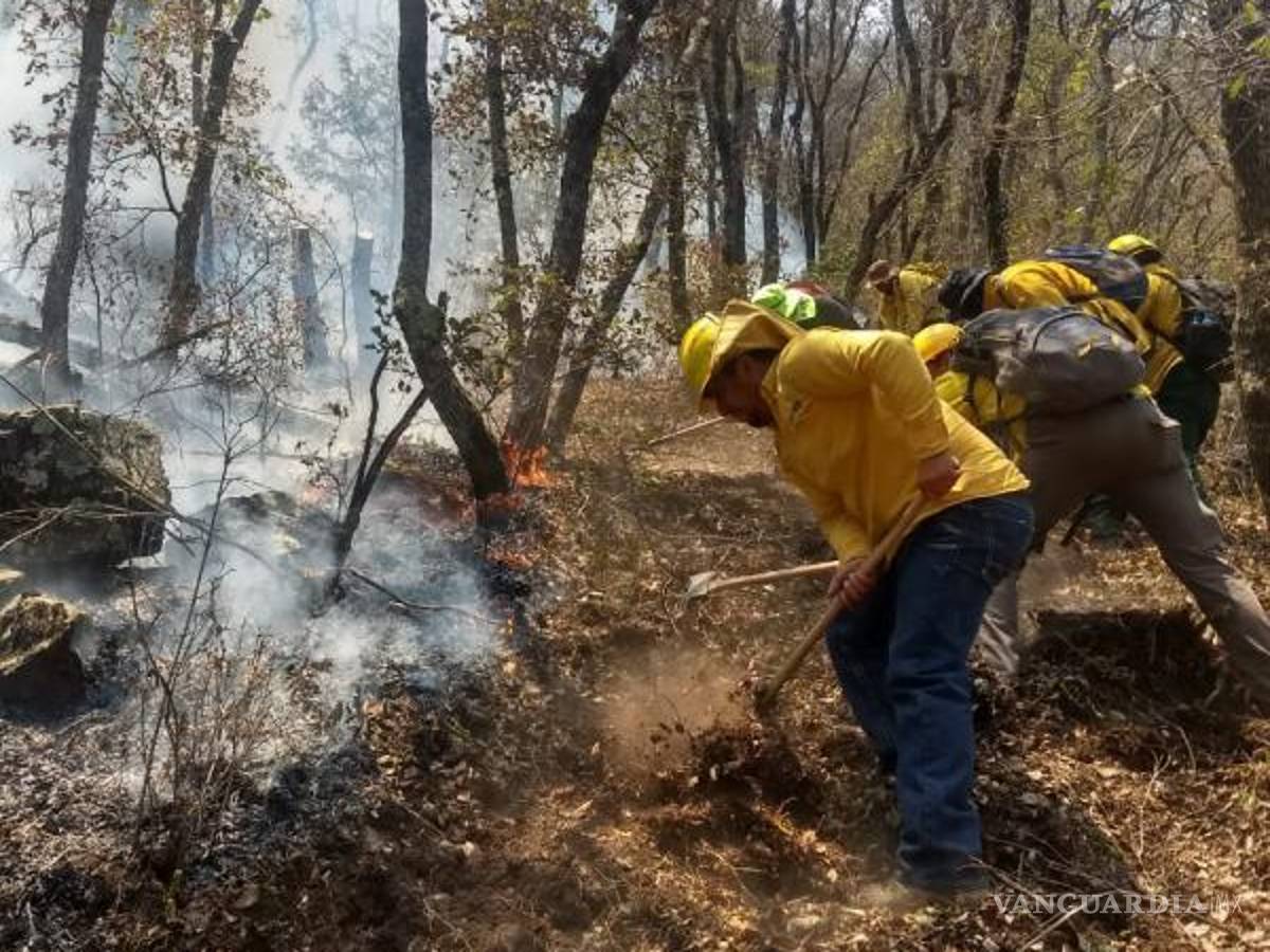 $!Se tiene el 100 por ciento de control del siniestro forestal que consumió 100 hectáreas de matorral y arbolado adulto.