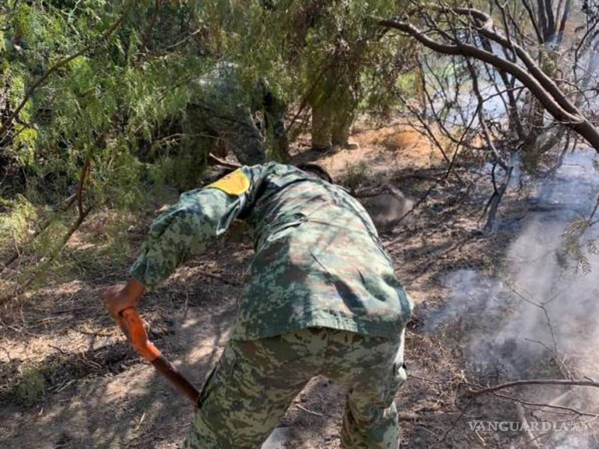 $!Elementos de la Secretaría de la Defensa apoyaron para controlar el incendio.