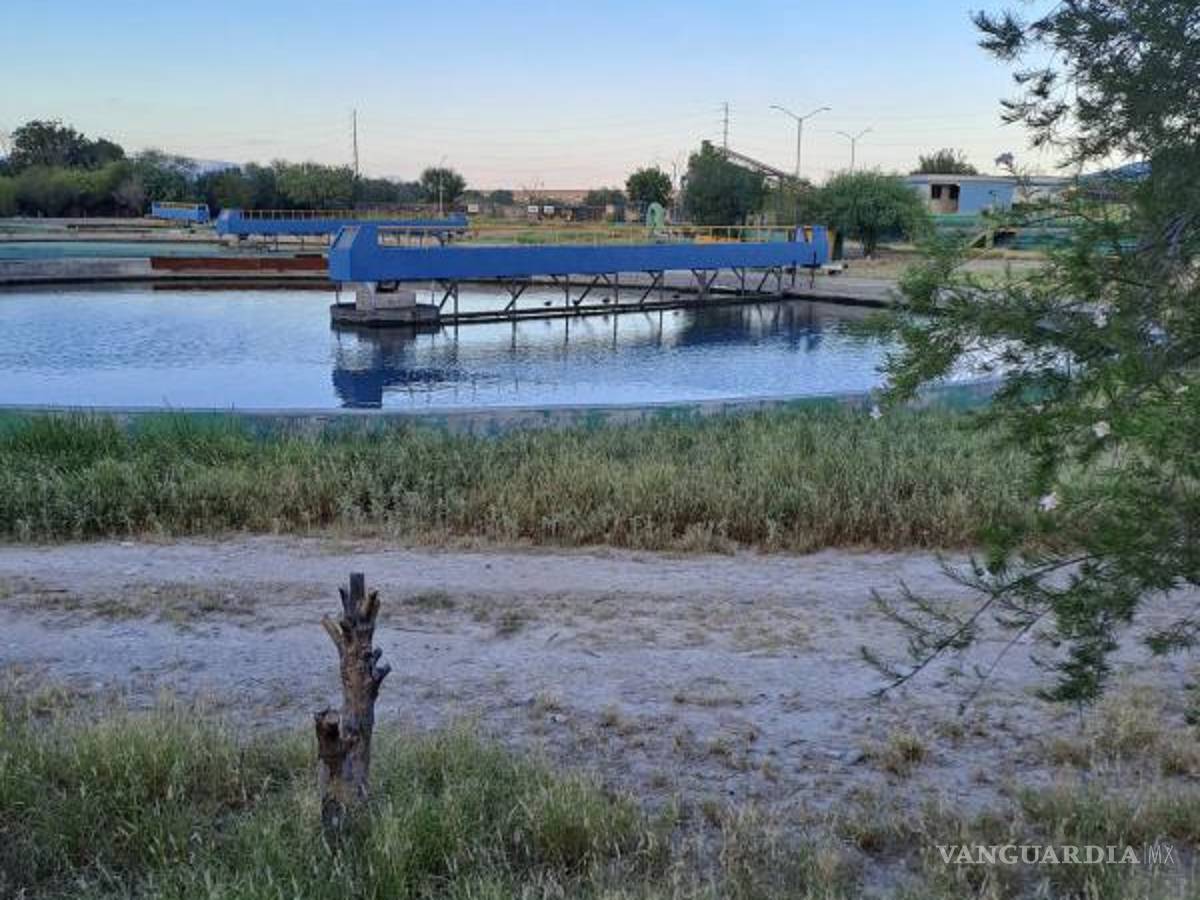$!El desbordamiento de aguas negras provoca graves problemas y puede afectar la salud.