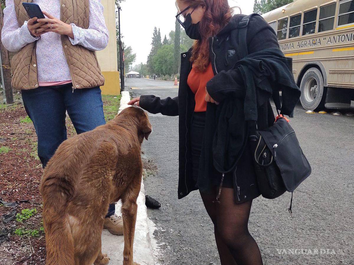 $!Dentro de las exigencias de los alumnos se encontraba también que la Rectoría pagara los gastos de liberación de los 15 canes asegurados.