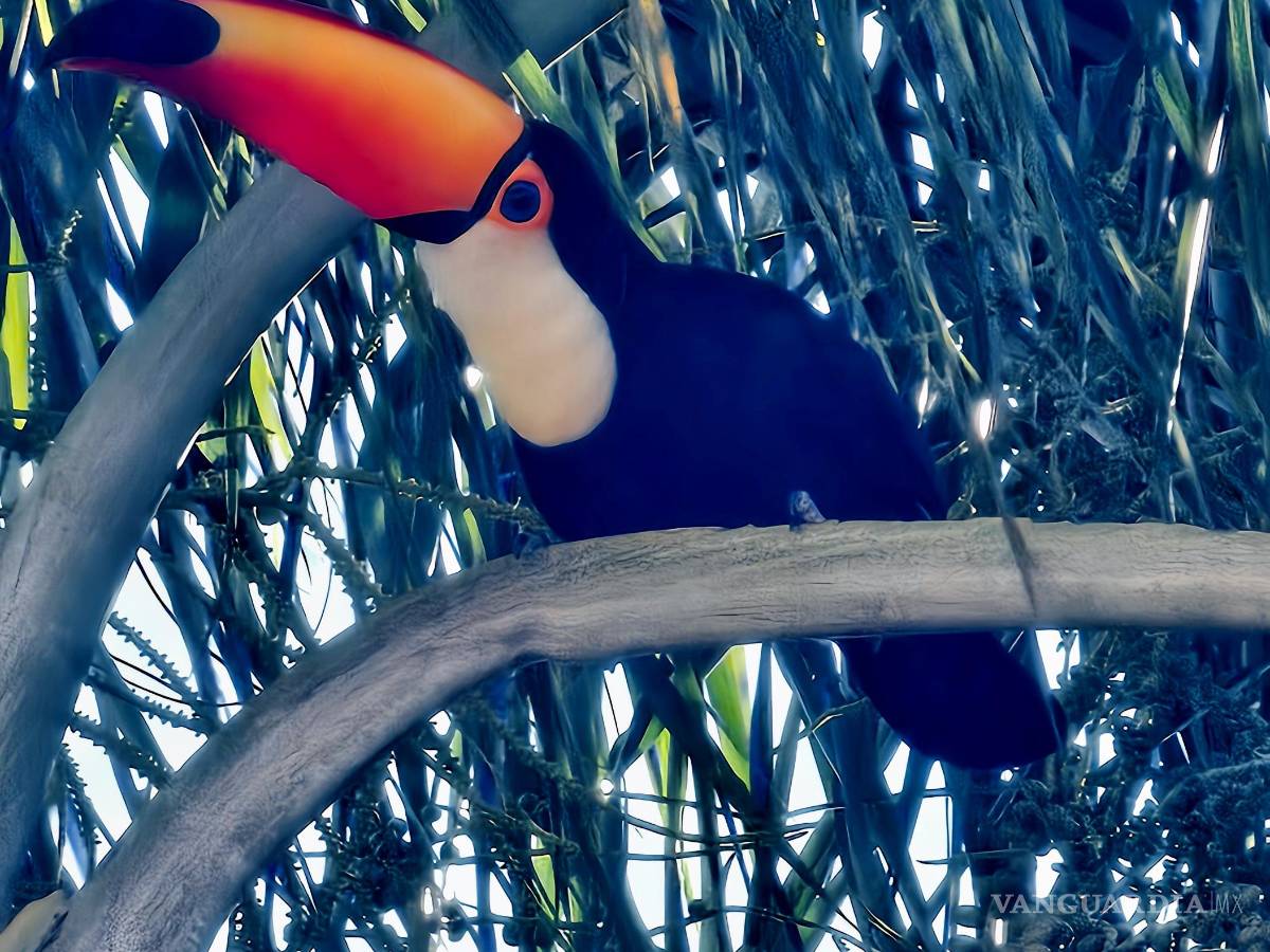 $!FOTO: MIGUEL CRESPO