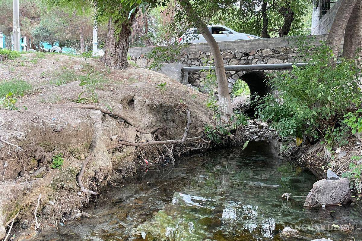 Alto grado de contaminación del Pozo Azul vuelve letal entorno para Carpita de Saltillo