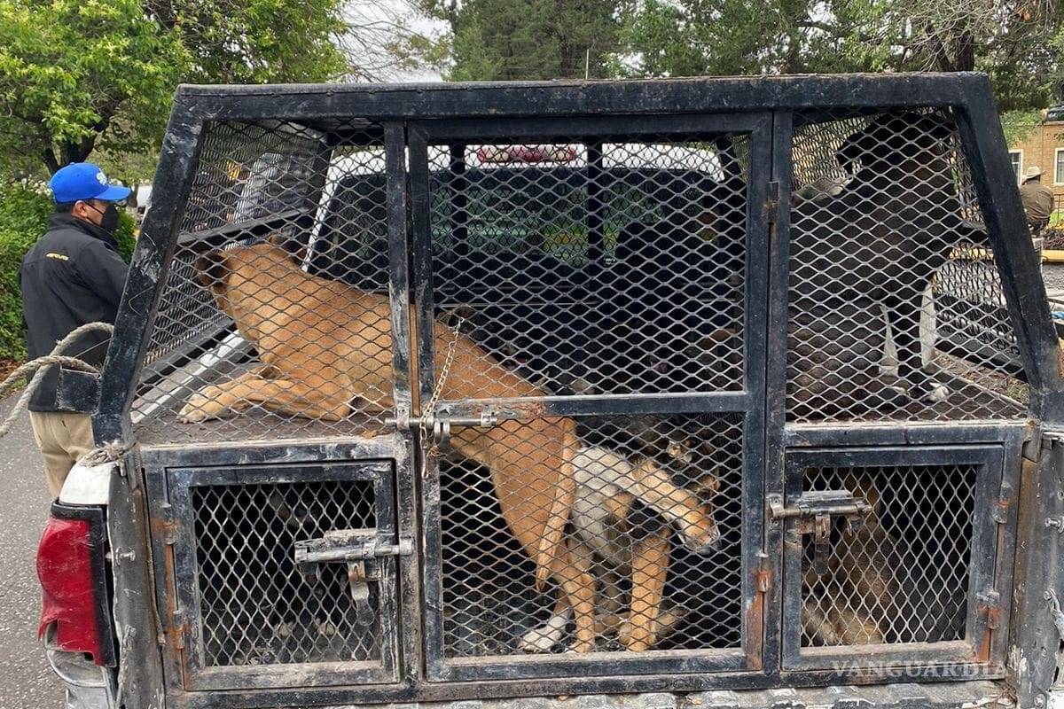 Amagan alumnos de la Narro con tomar campus y cancelar ExpoUAAAN para que regresen a ‘lomitos’