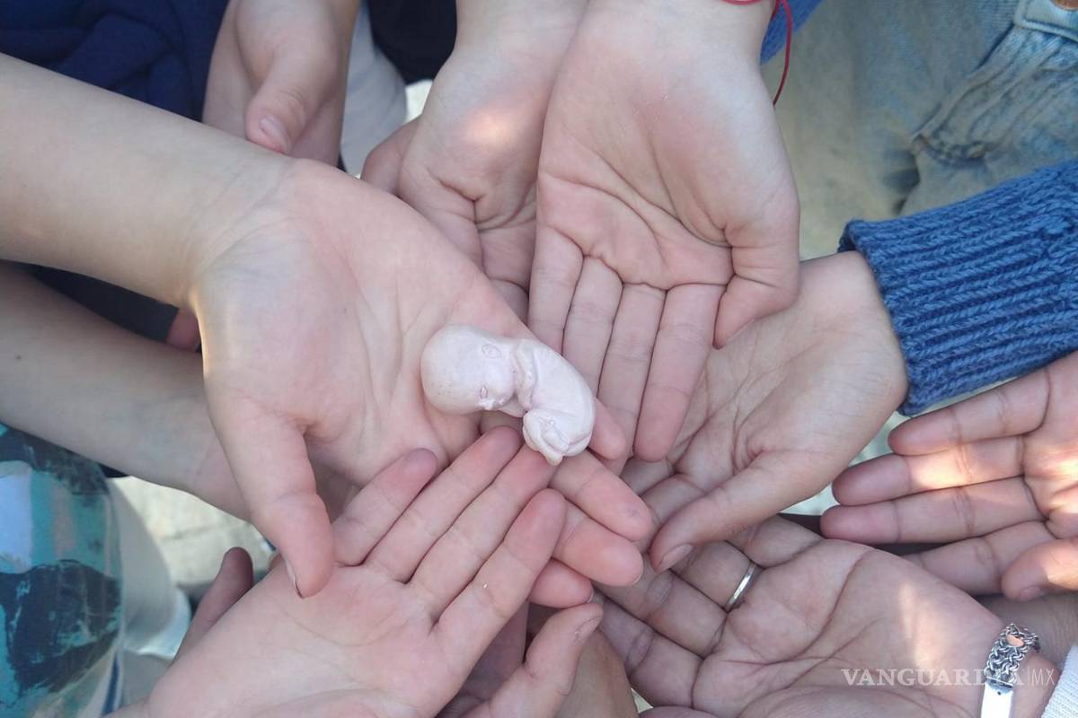 Ofician misa contra aborto frente al Hospital General de Saltillo