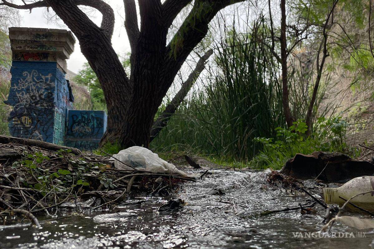 Alto grado de contaminación del Pozo Azul vuelve letal entorno para Carpita de Saltillo