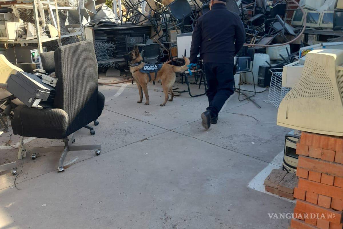 Con K-9 revisan en el Cetis 59: mañana “Operación Mochila”