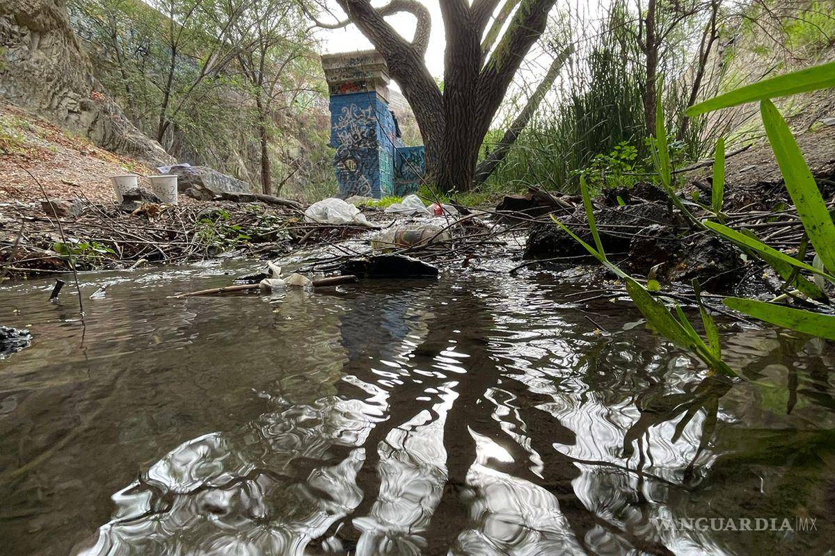 Alto grado de contaminación del Pozo Azul vuelve letal entorno para Carpita de Saltillo