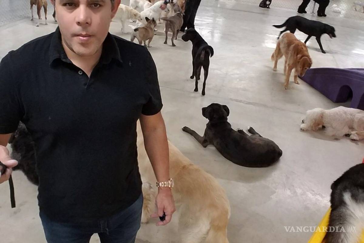 Propondrá activista se considere inocente a quien cometa homicidio por defender a un animal