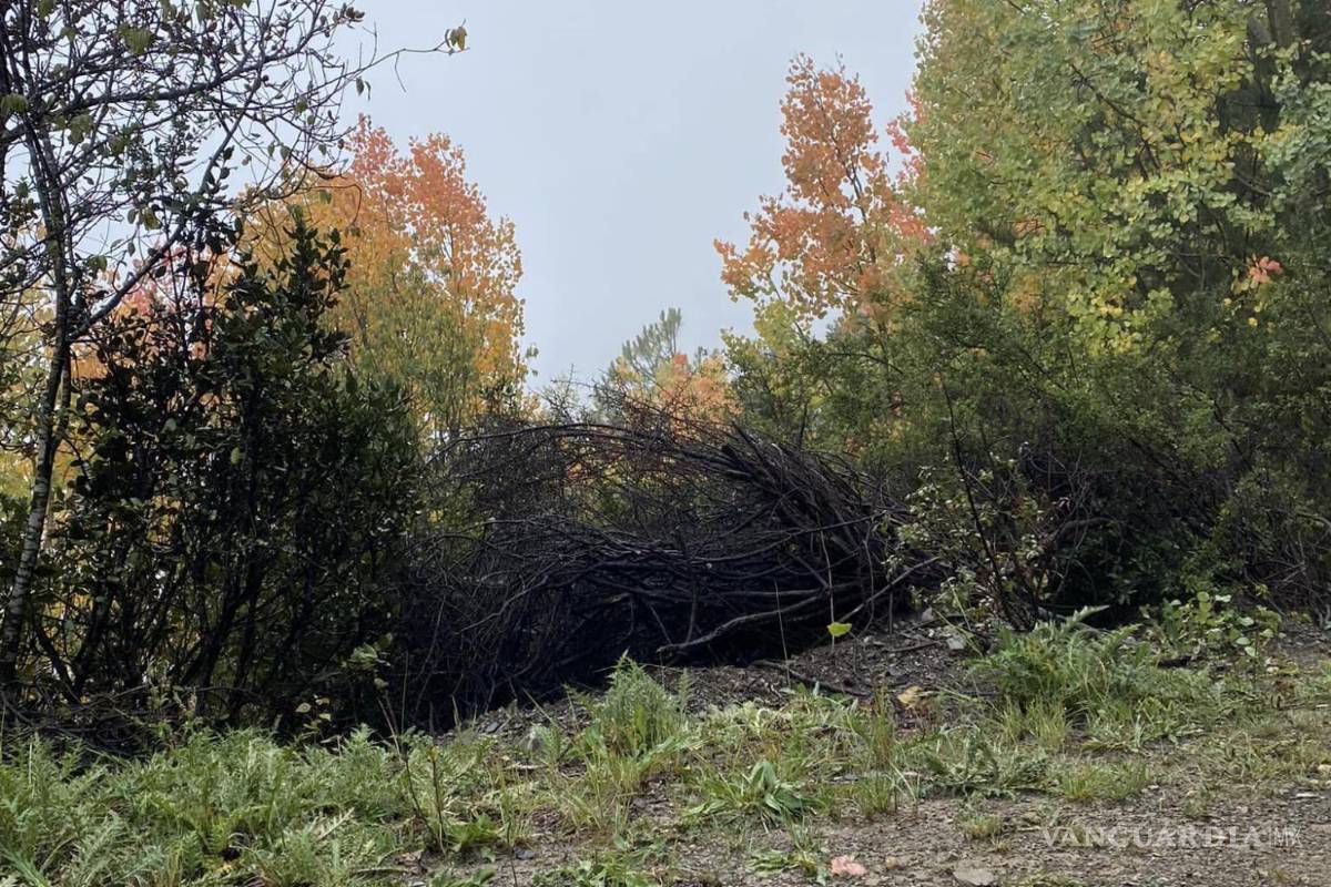 $!Imagen captada por la senderista originaria de Nuevo León.