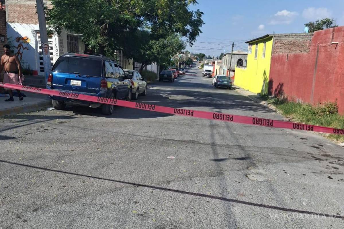 Molestan panal de abejas y acaban 10 picados, en Saltillo