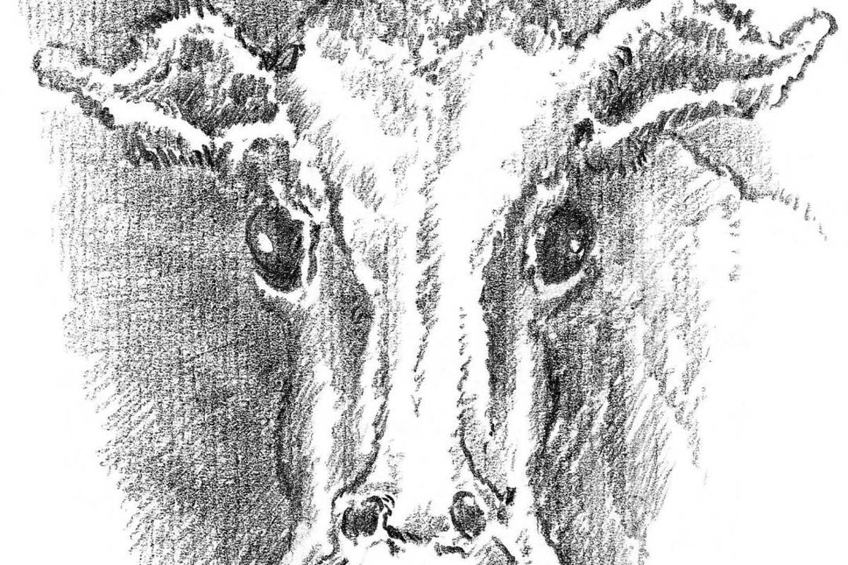 $!"De la finitud", el regalo literario de Grass, un año después de su muerte