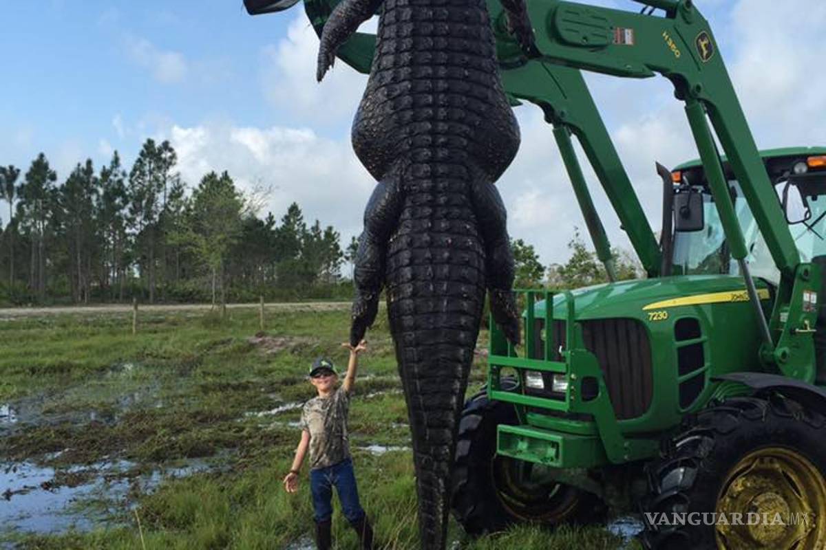 Cazadores presumen en Facebook captura y muerte de enorme cocodrilo