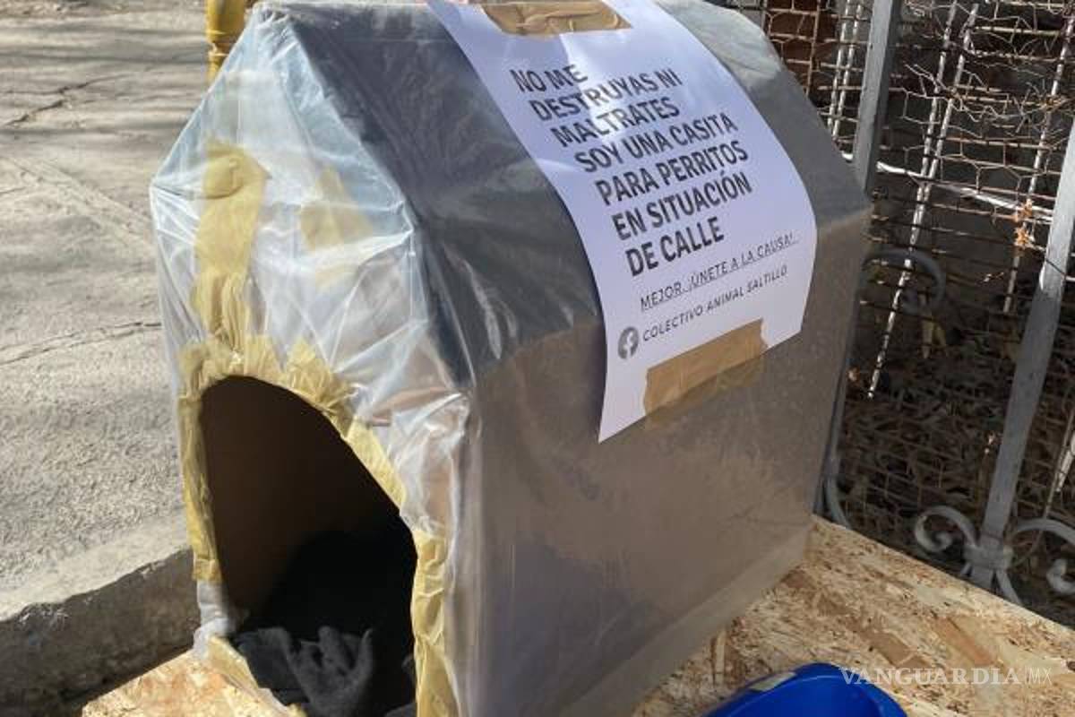 $!El colectivo anunció que irá lento en la colocación de estas casas con el objetivo de ver como son tratadas por la gente.